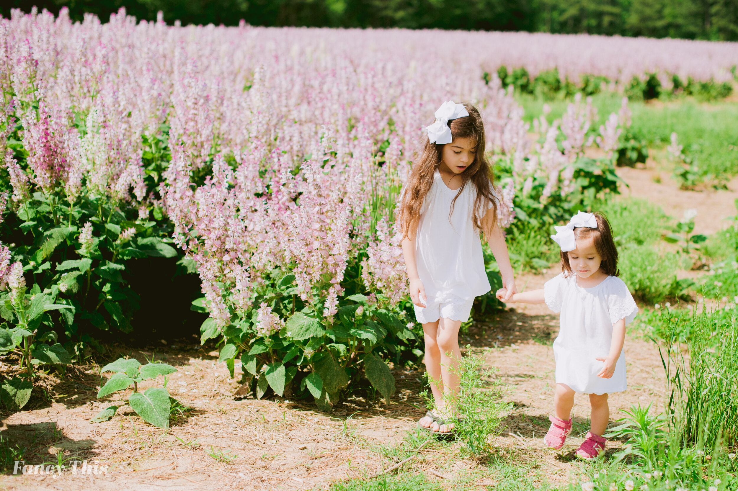 greenvillefamilyphotographer_outerbanksfamilyphotographer_sagefarmfamilysession_raleighfamilyphotographer-119.jpg