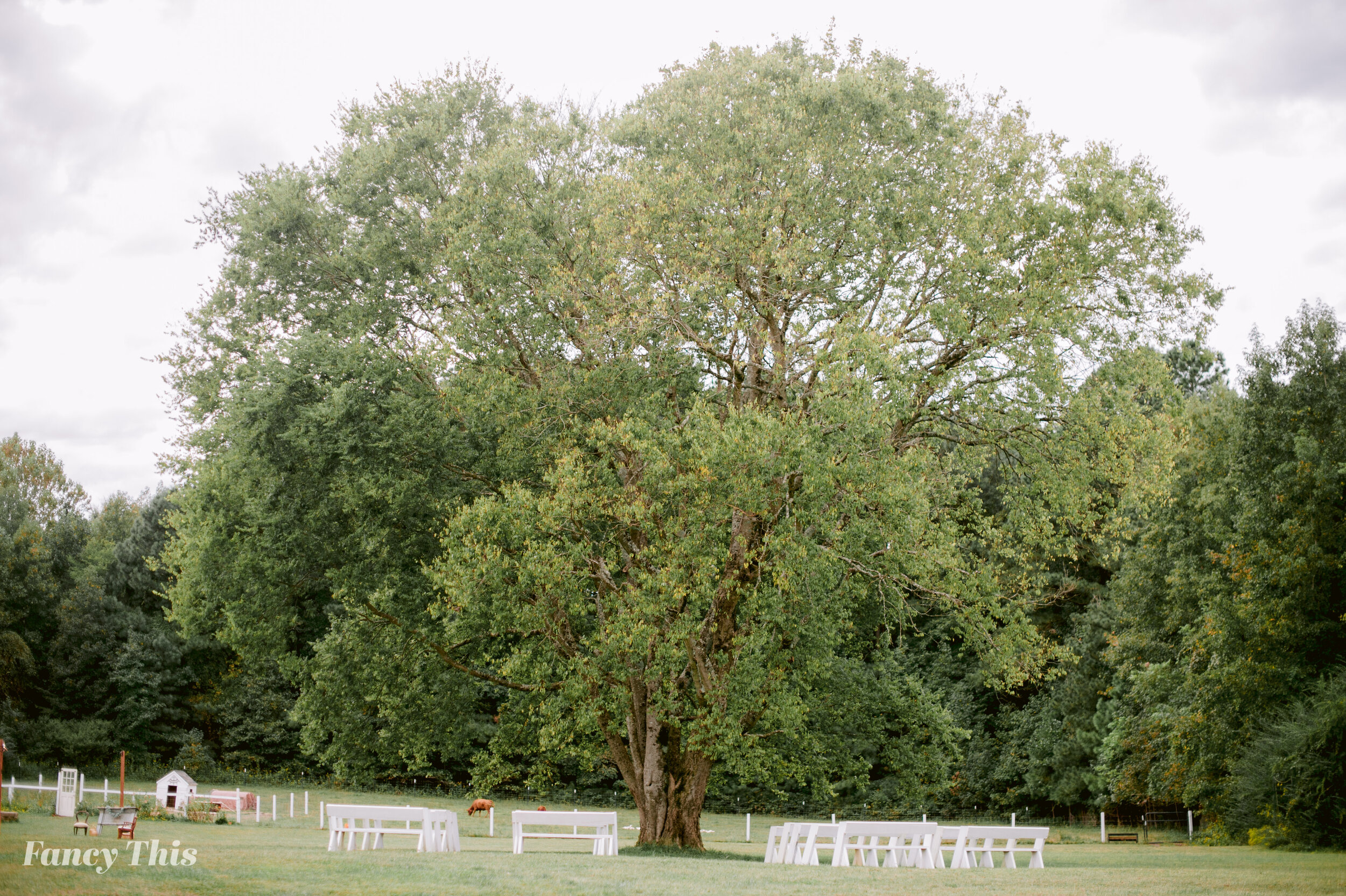 theoaksatoxfordengagementsession_oxfordweddingphotographer_ncweddingphotography_farmwedding-17.jpg