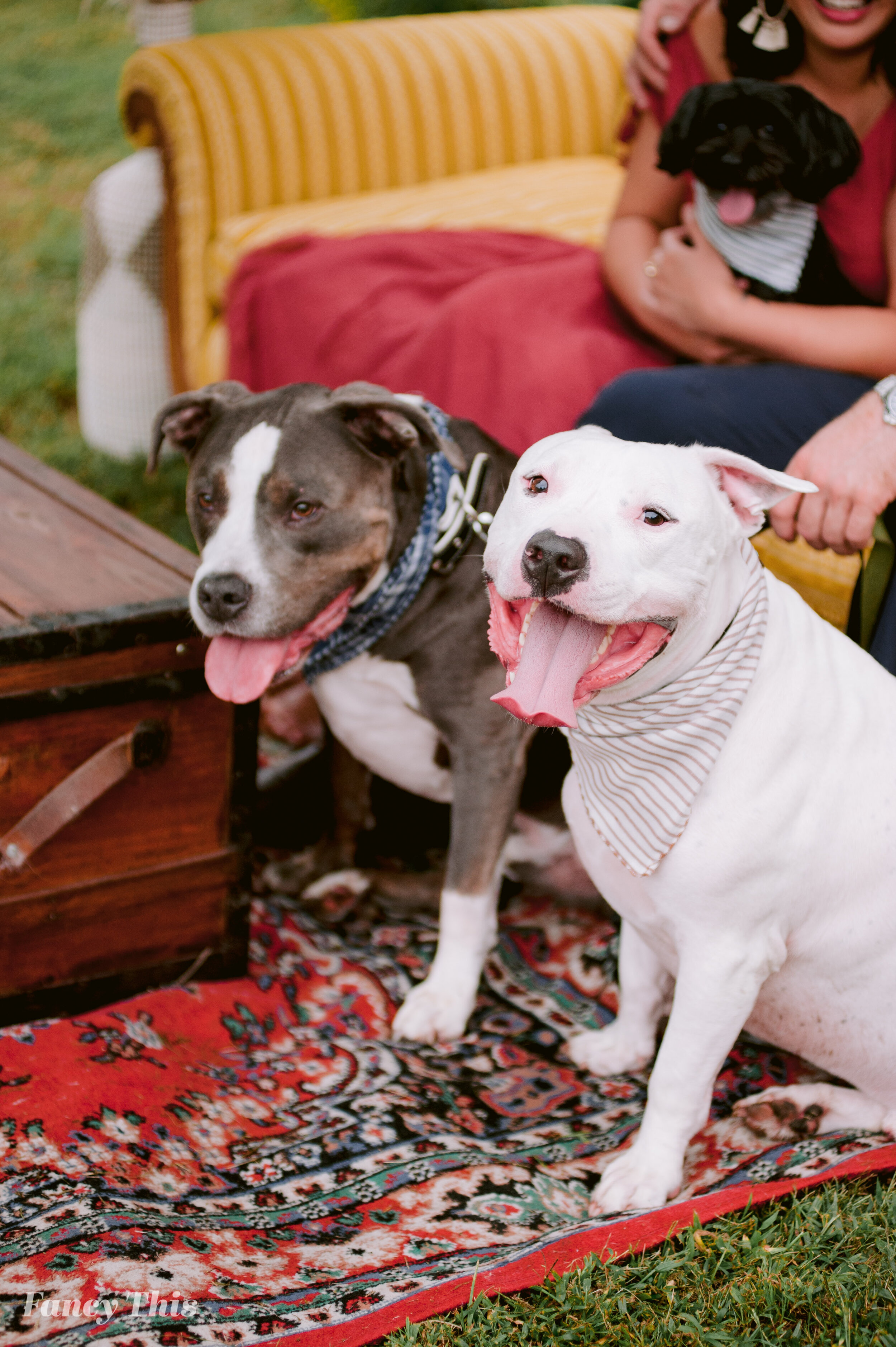 theoaksatoxfordengagementsession_oxfordweddingphotographer_ncweddingphotography_farmwedding-75.jpg