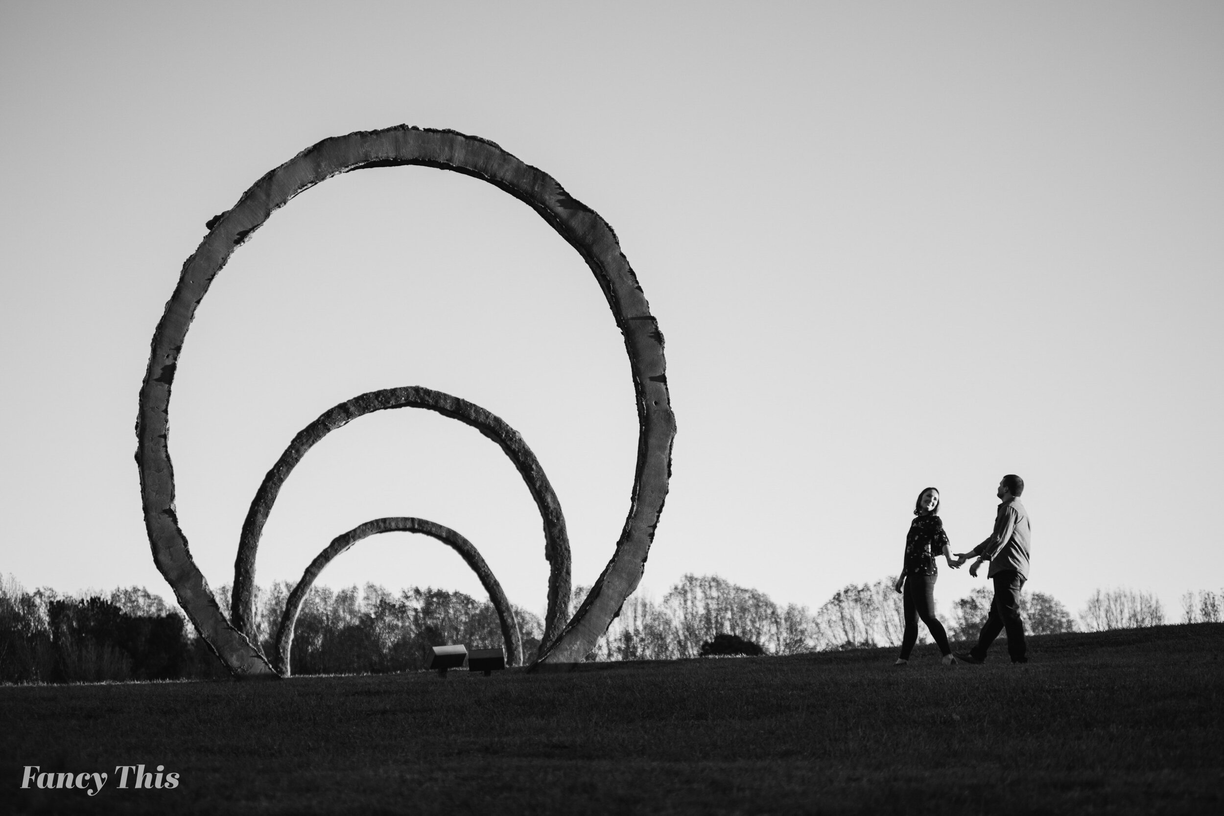 northcarolinamuseumofart_raleighengagementsession_raleighweddingphotographer-94.JPG