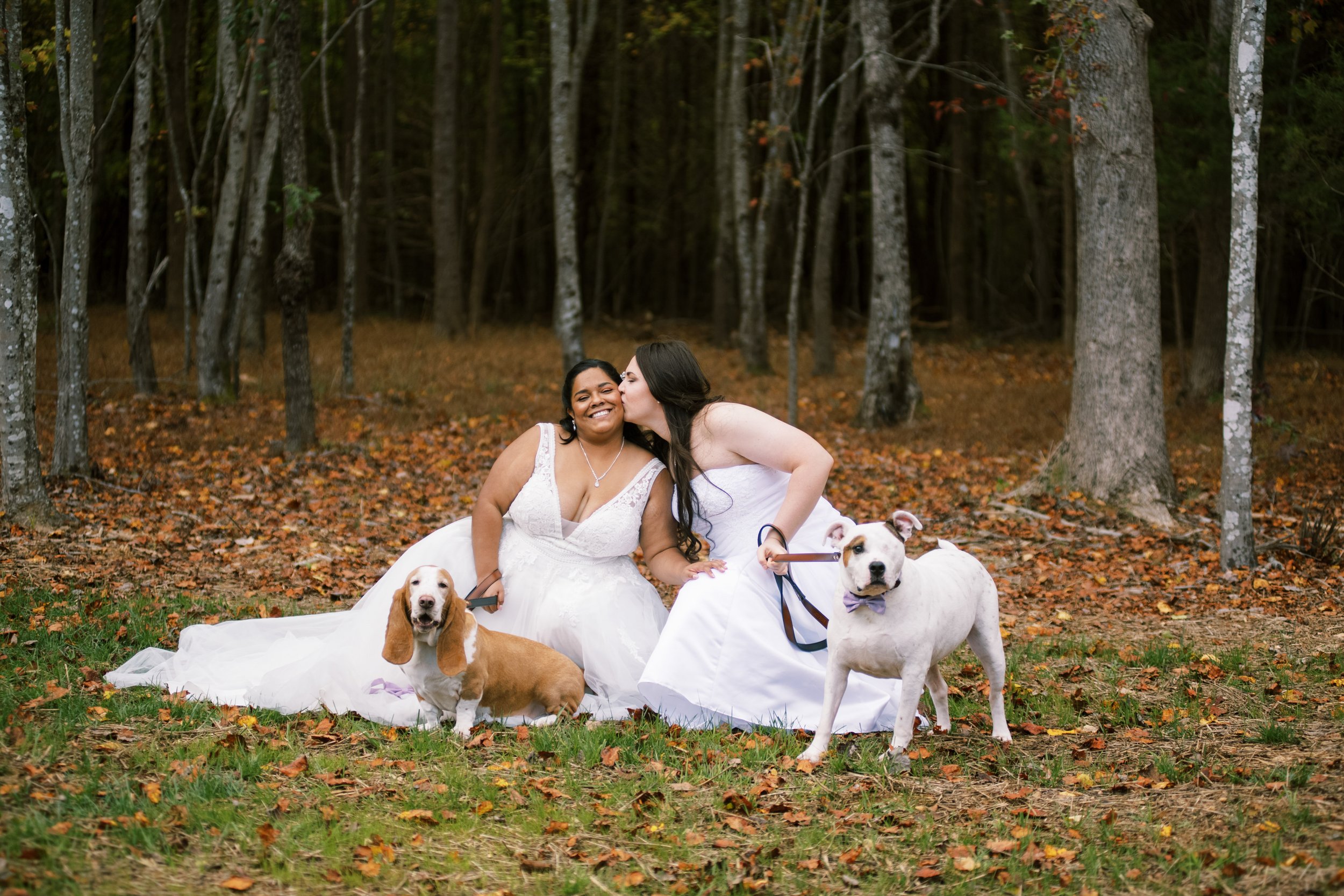 Brides Wedding Photos Dogs Beautiful Mebane NC Wedding in Family's Backyard Fancy This Photography