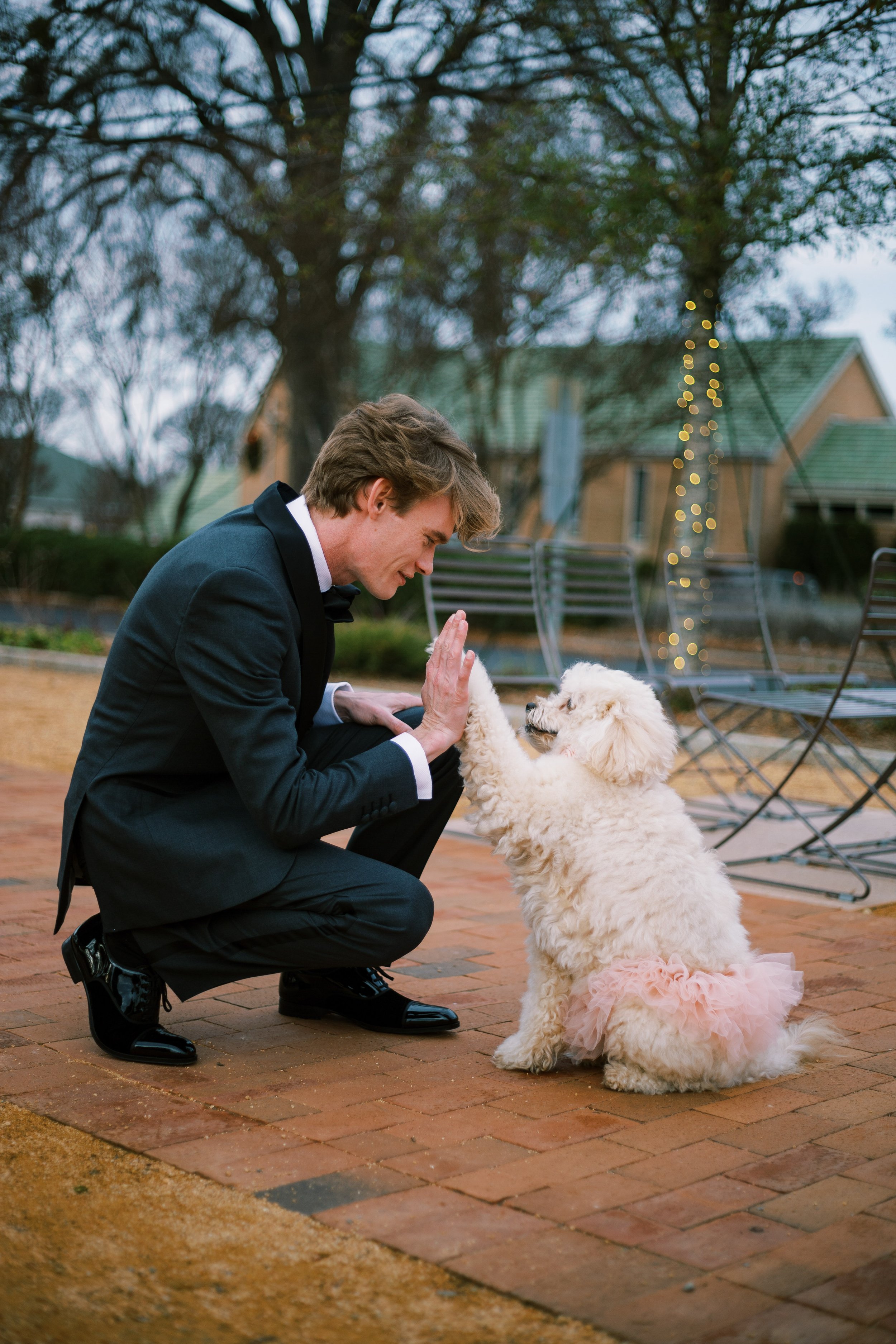 Groom and Pink Dog Salisbury North Carolina Wedding at The Meroney Theater  Fancy This Photography