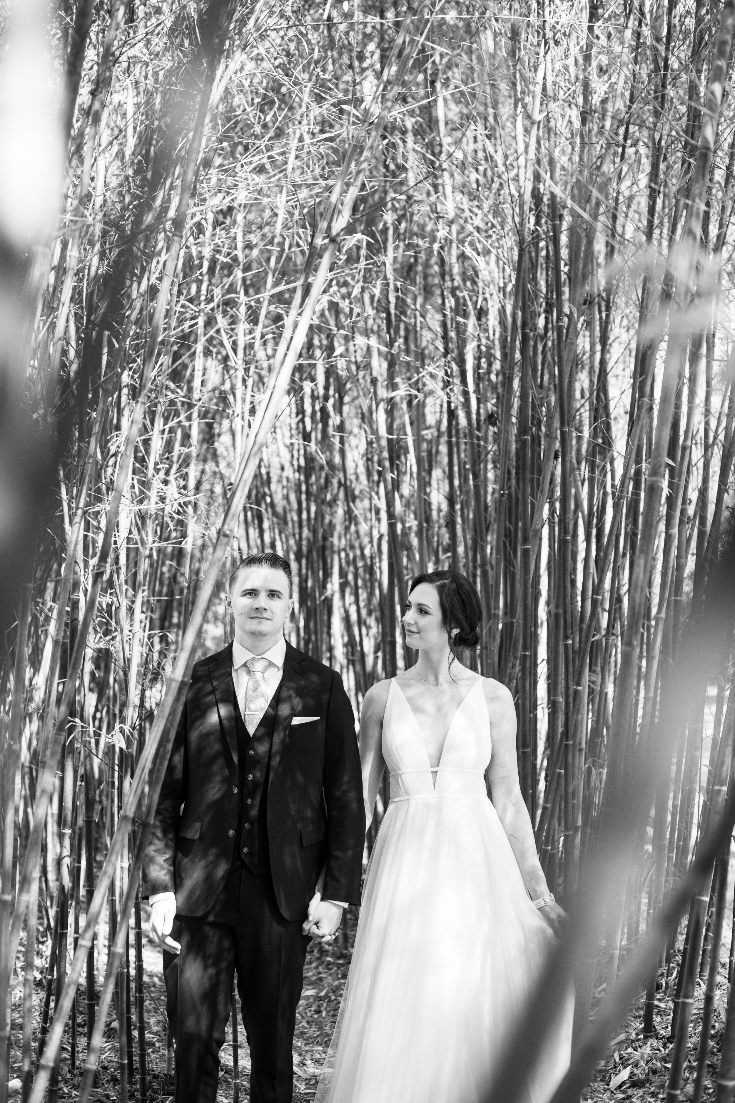 Black and White Bride Groom in Bamboo Trees Cape Fear Botanical Garden Wedding Fancy This Photography