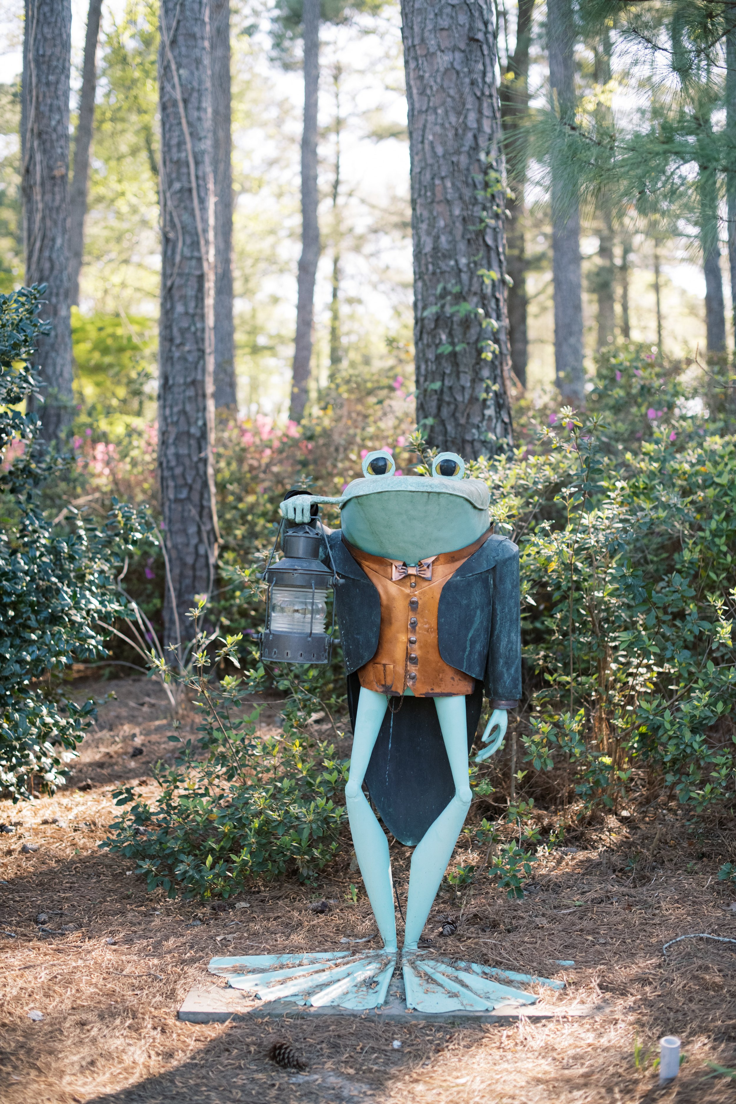 Funny Frog Greenery Cape Fear Botanical Garden Wedding Fancy This Photography