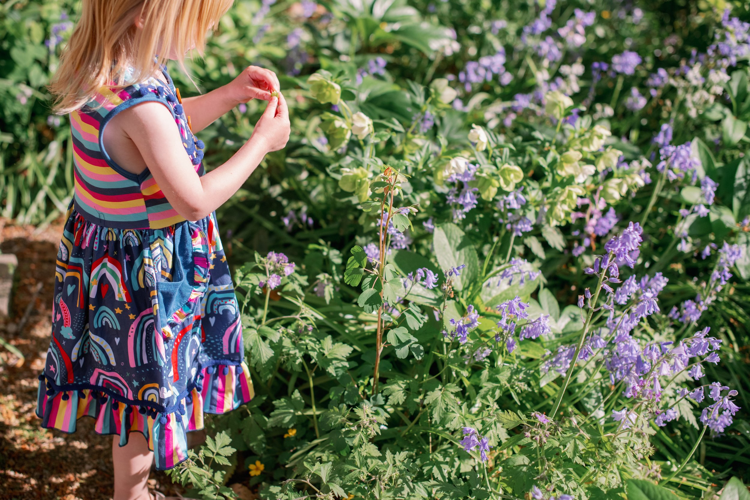 cokerarboretumfamilyphotography_uncchapelhillfamilysession-122.jpg