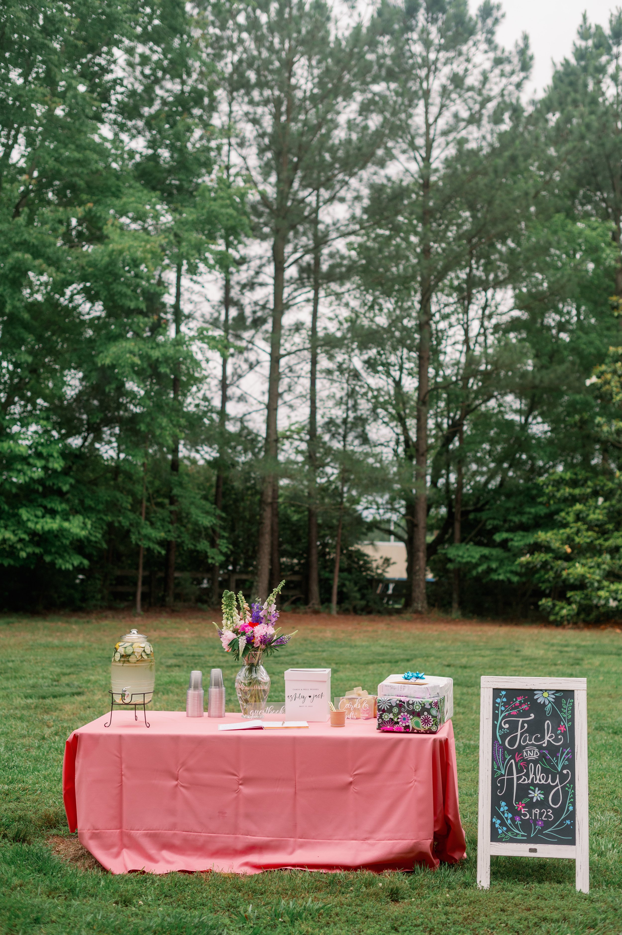 Welcome Table Outdoor Ceremony Backyard Wedding in Chapel Hill Fancy This Photography