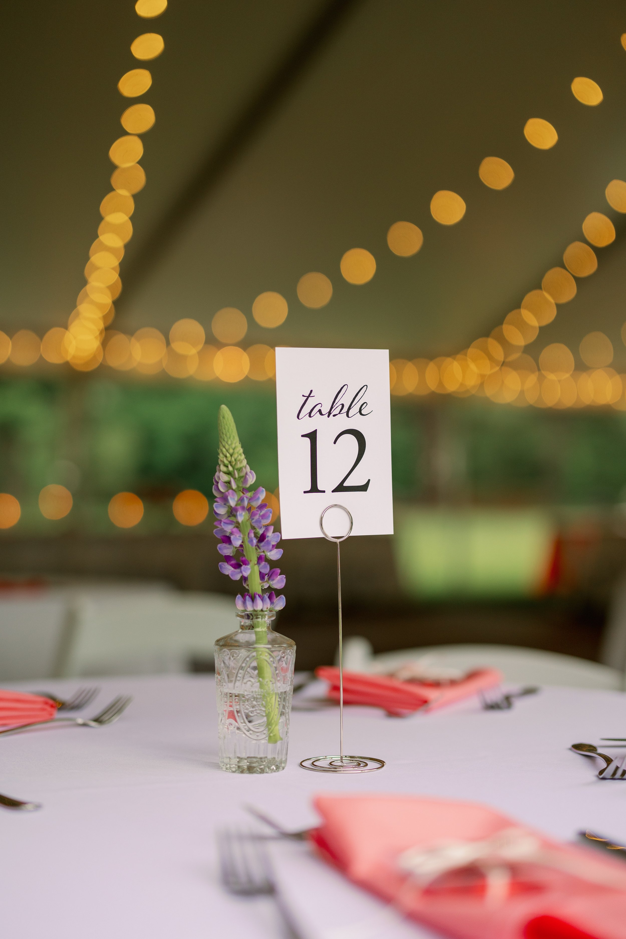 Tented Wedding Reception Table Decor Backyard Wedding in Chapel Hill Fancy This Photography
