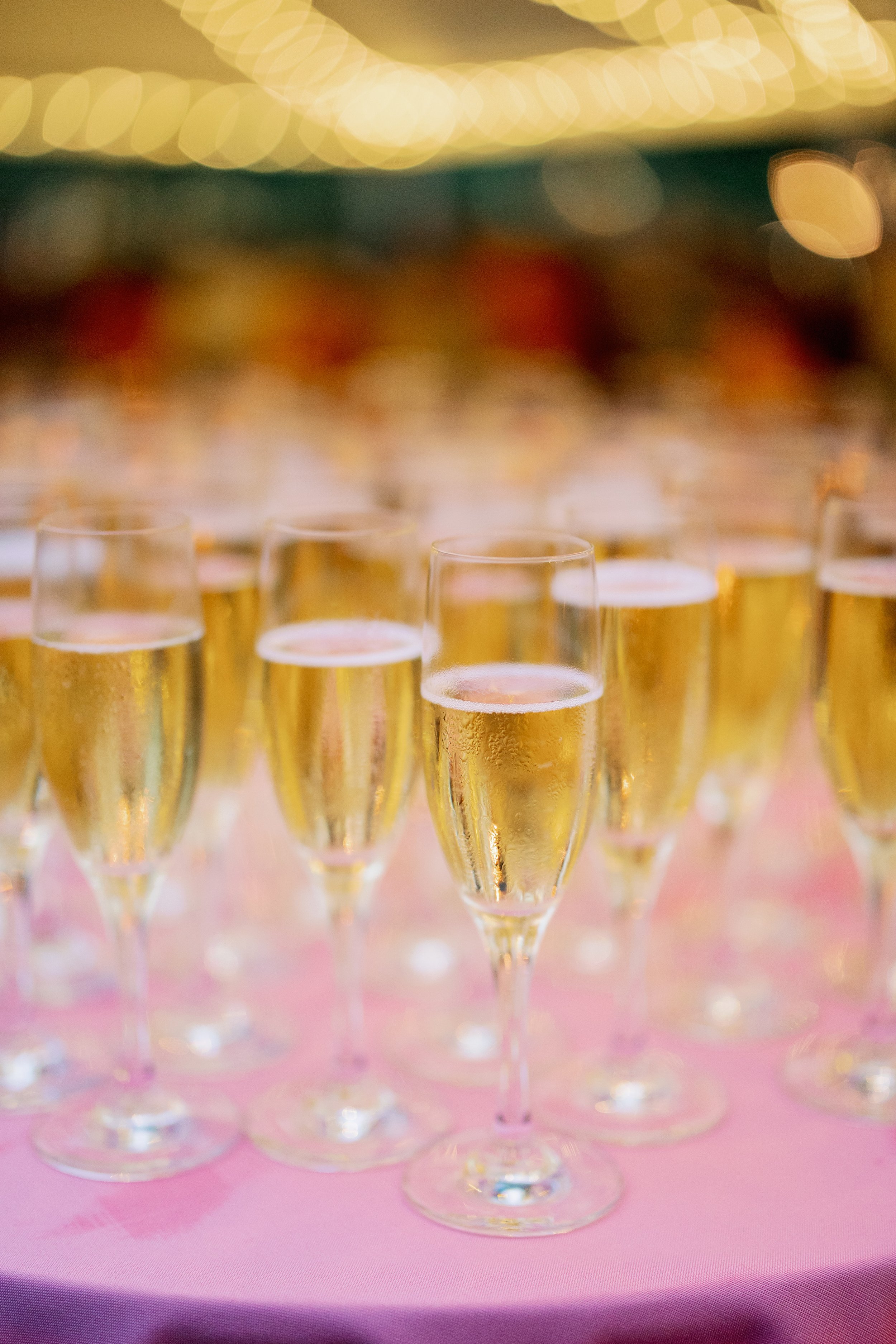 Champagne Glasses Backyard Wedding in Chapel Hill Fancy This Photography