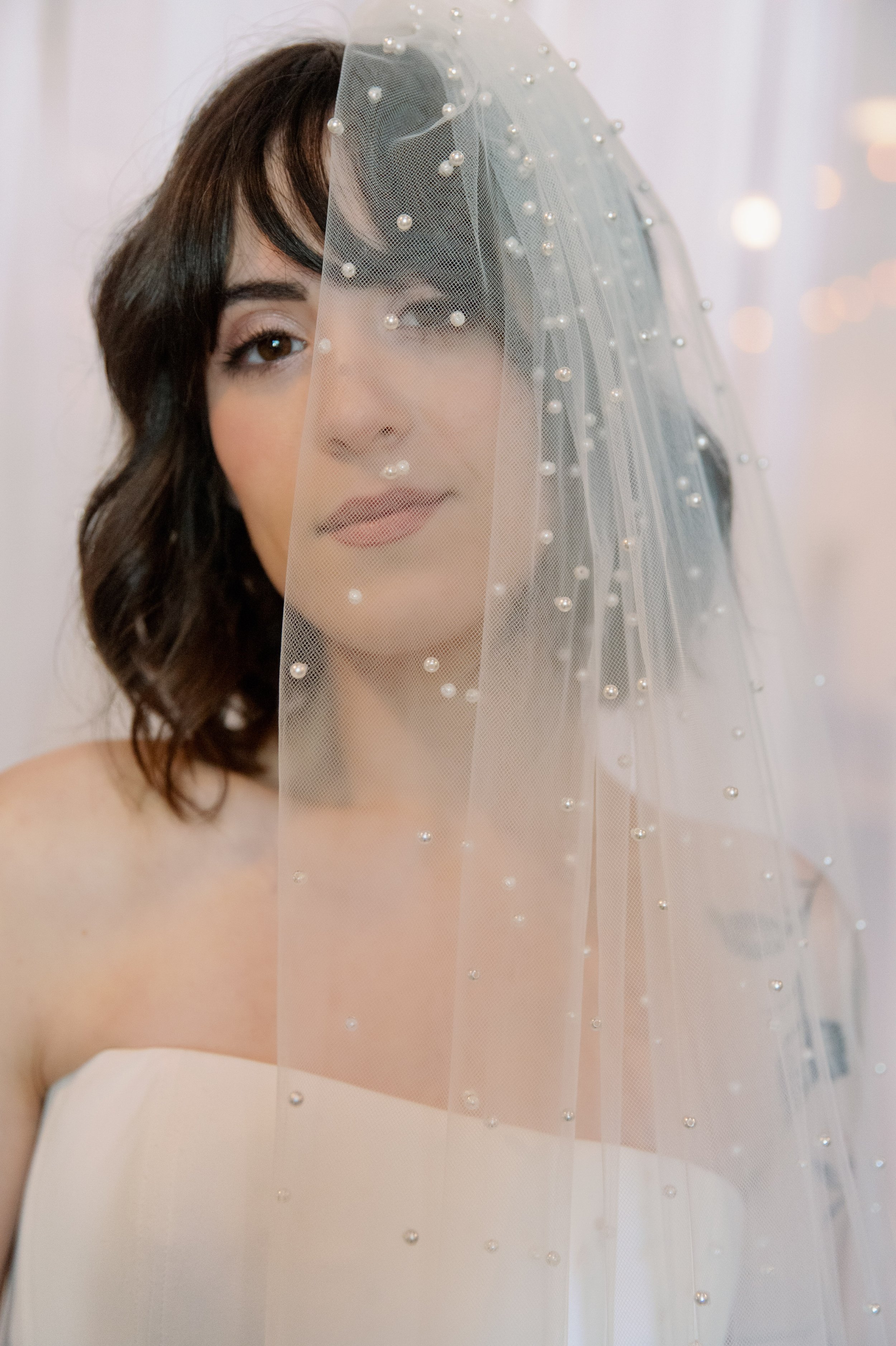 Close up bridal portrait of a bride wearing a pearl dotted veil during a Market Hall wedding in Raleigh North Carolina
