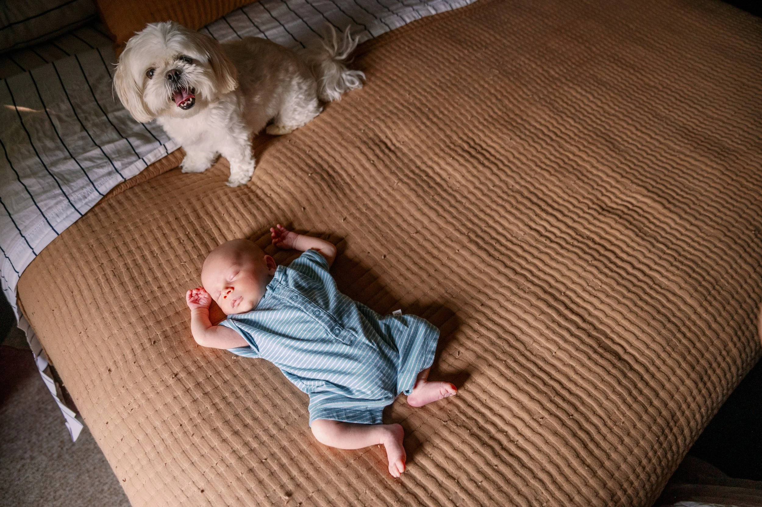 durham-family-photographer-16.JPG