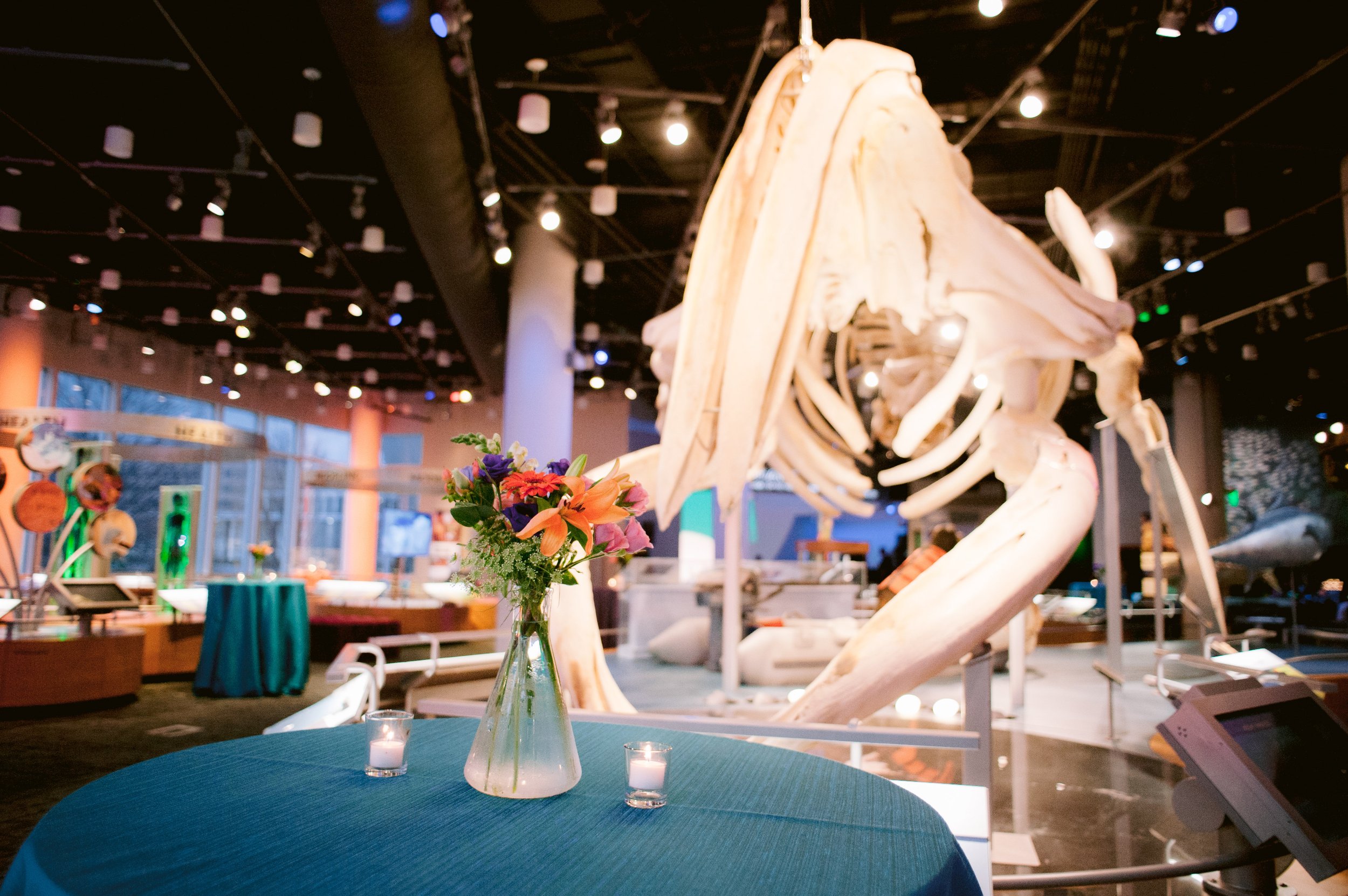 museum of natural science event-1.jpg