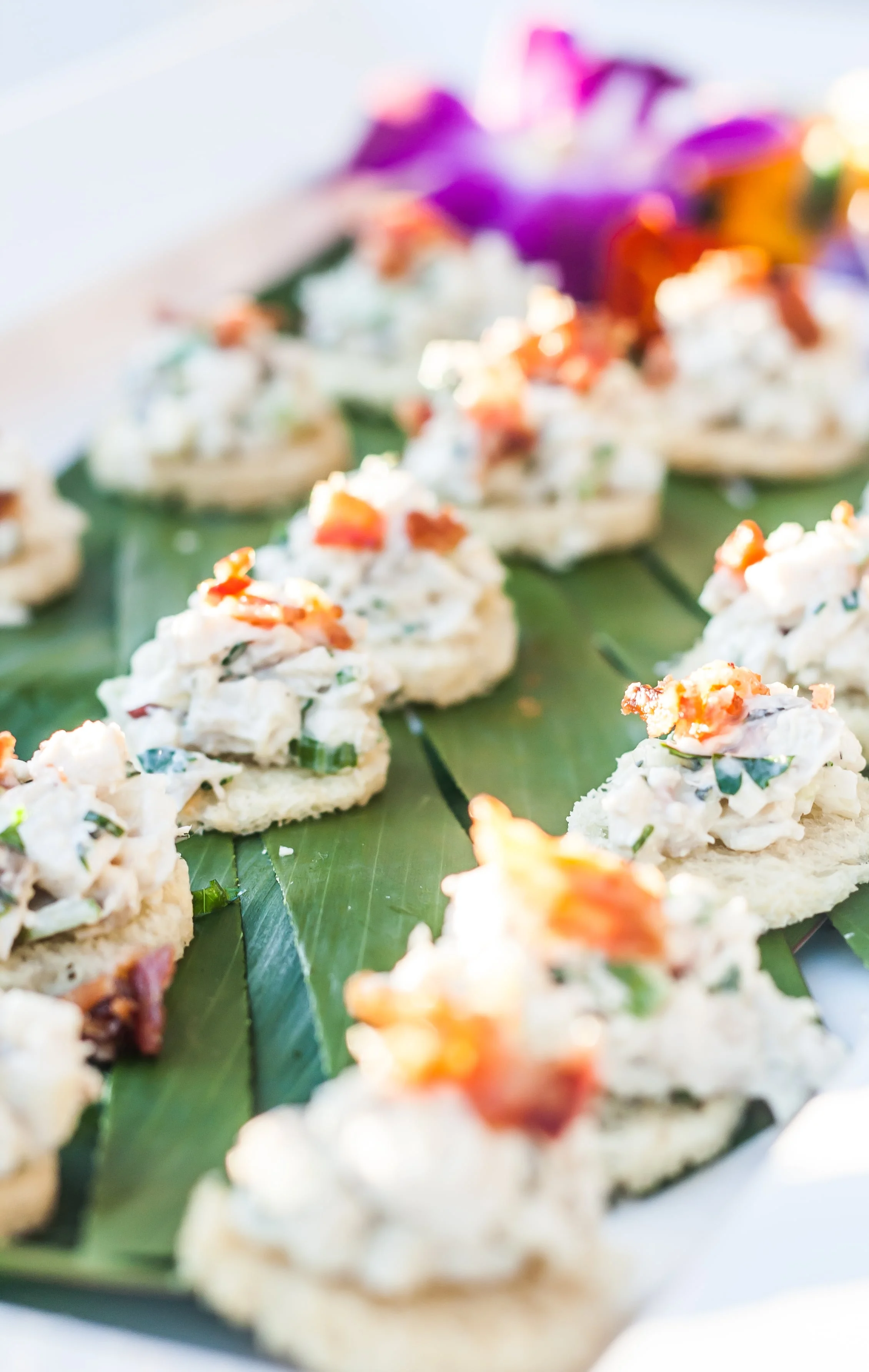 Events by Jane Hammond Events