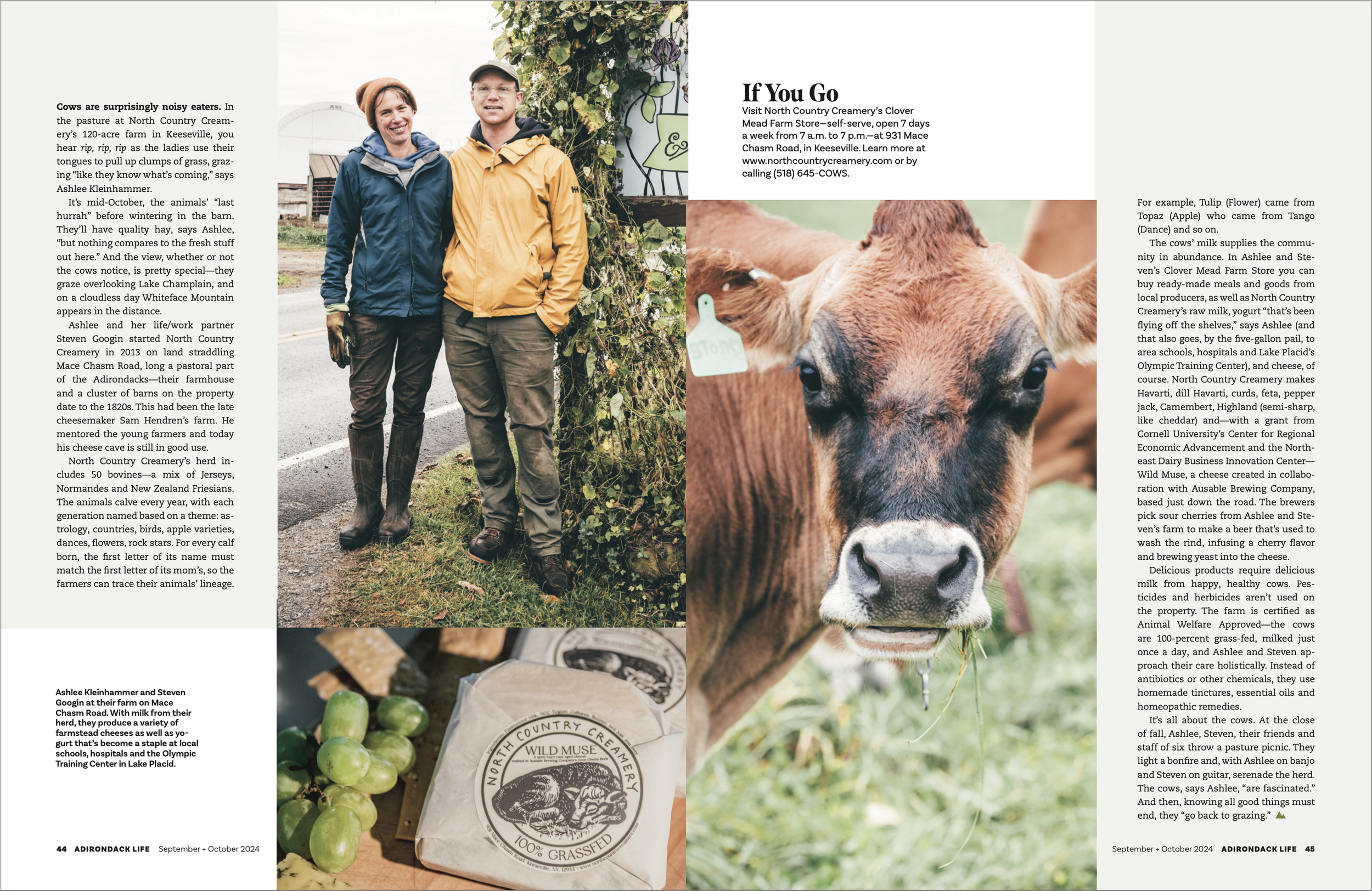 North Country Creamery- Carrie Marie Burr 44 2024.png