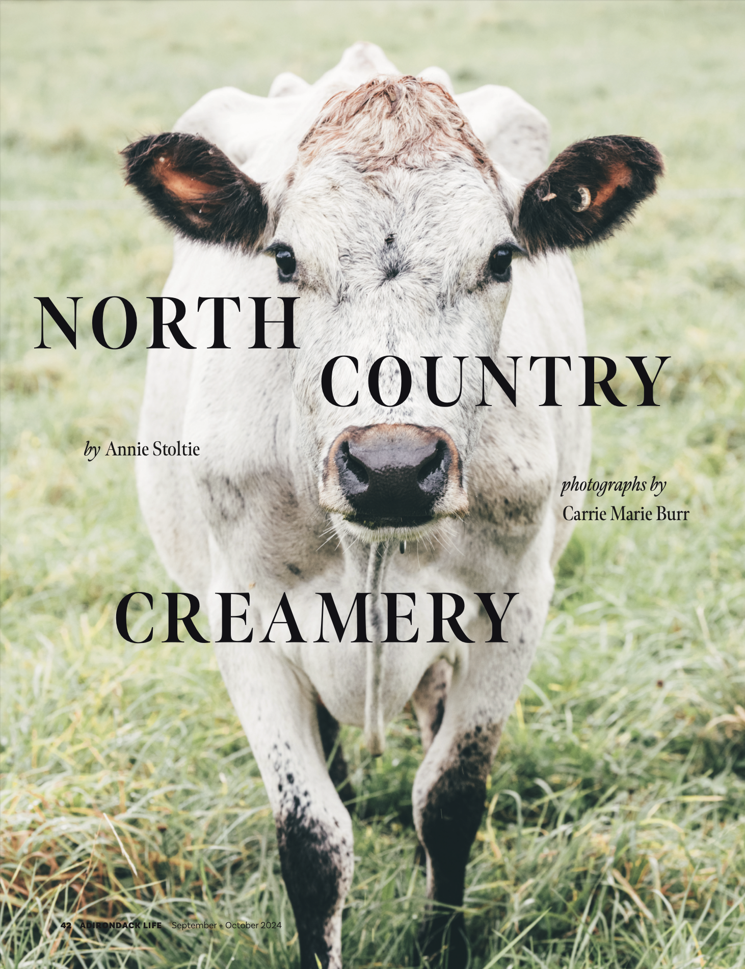 North Country Creamery- Carrie Marie Burr 42 f 2024.png