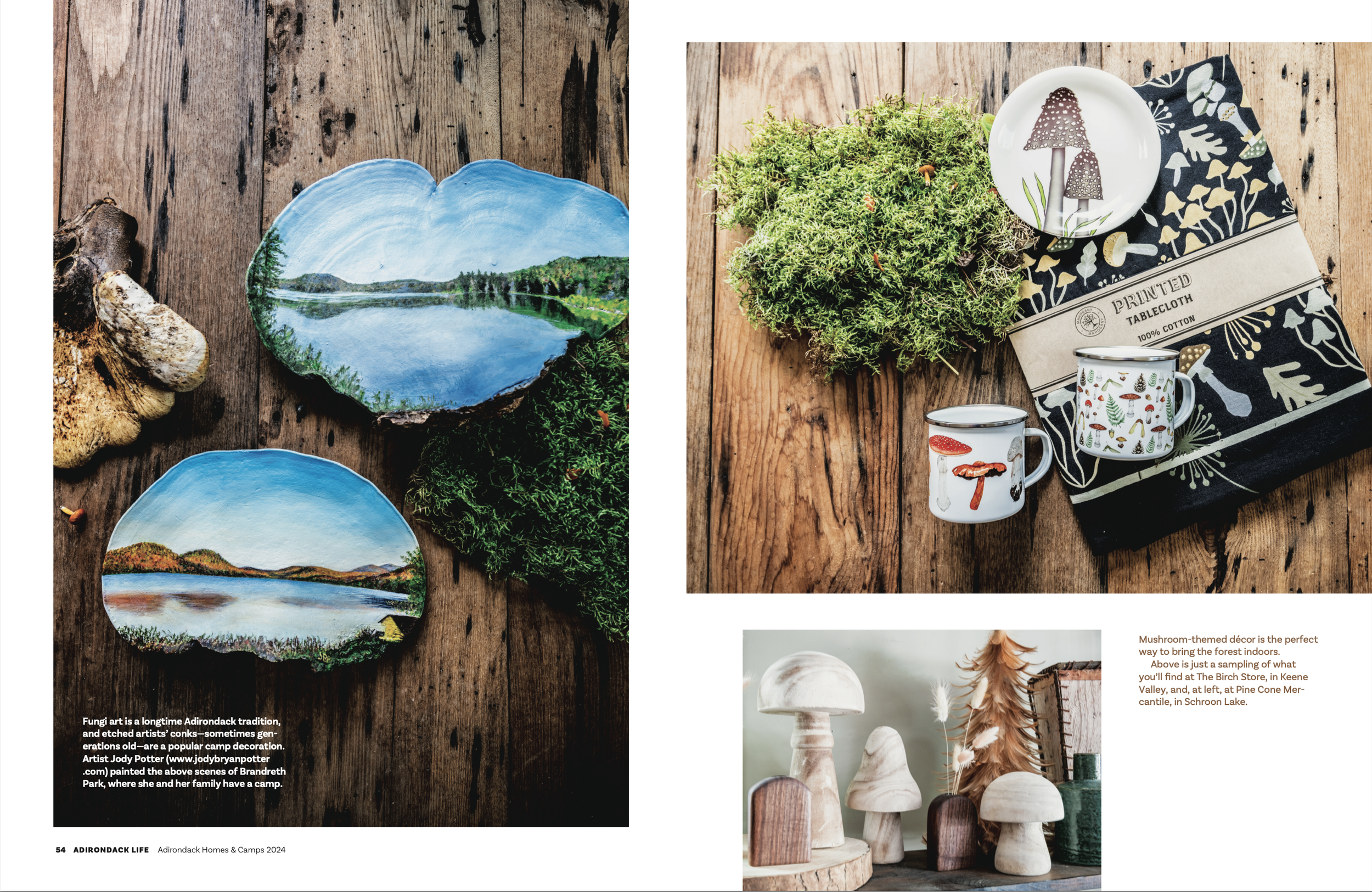 Adirondacks on Mushrooms- Carrie Marie Burr 54 2024.png