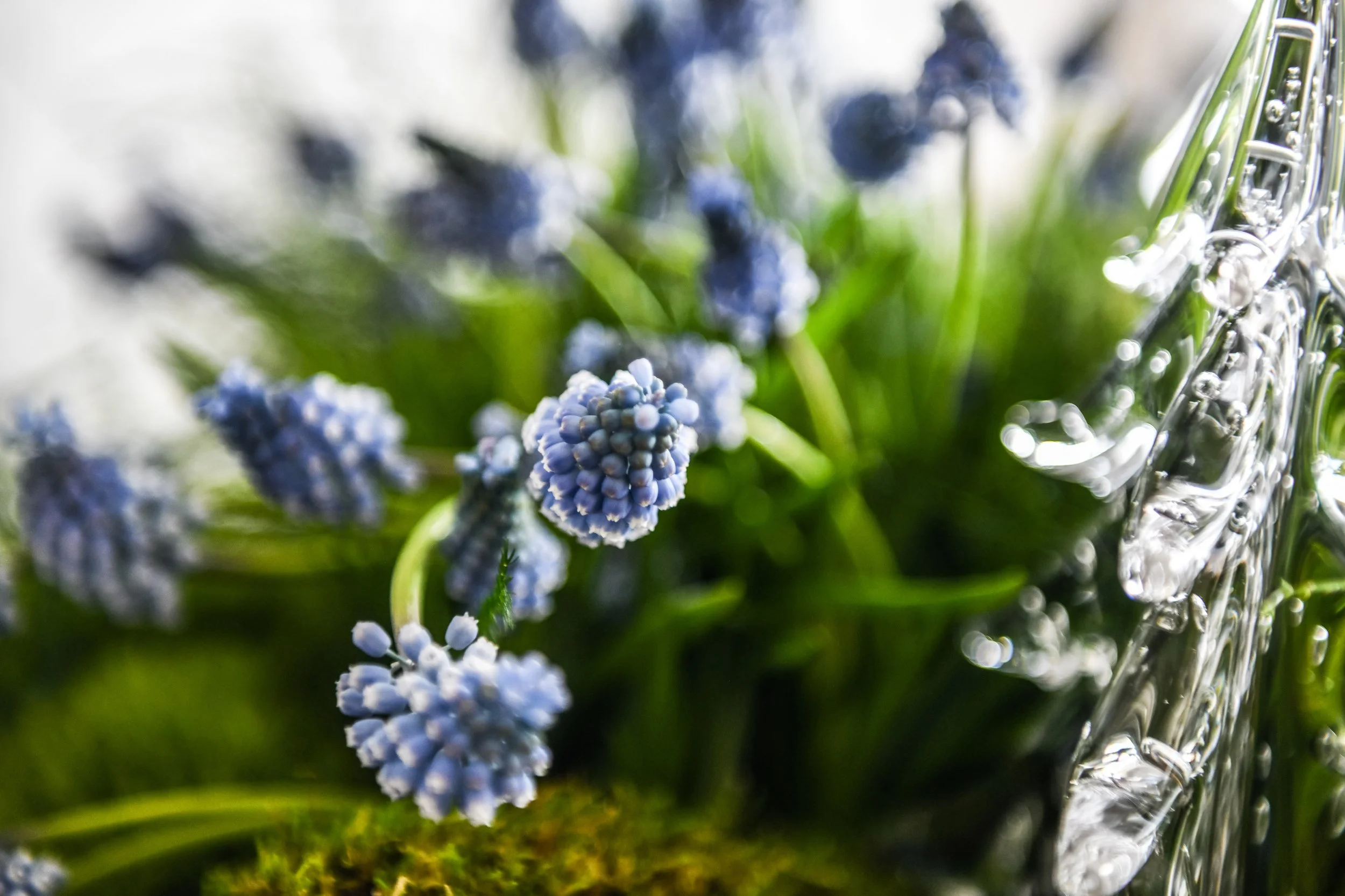 ©carriemarieburr-25-49.jpg