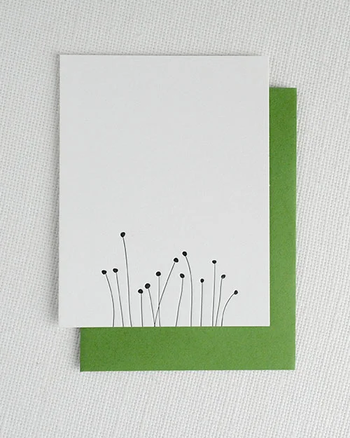 springsprouts.jpg