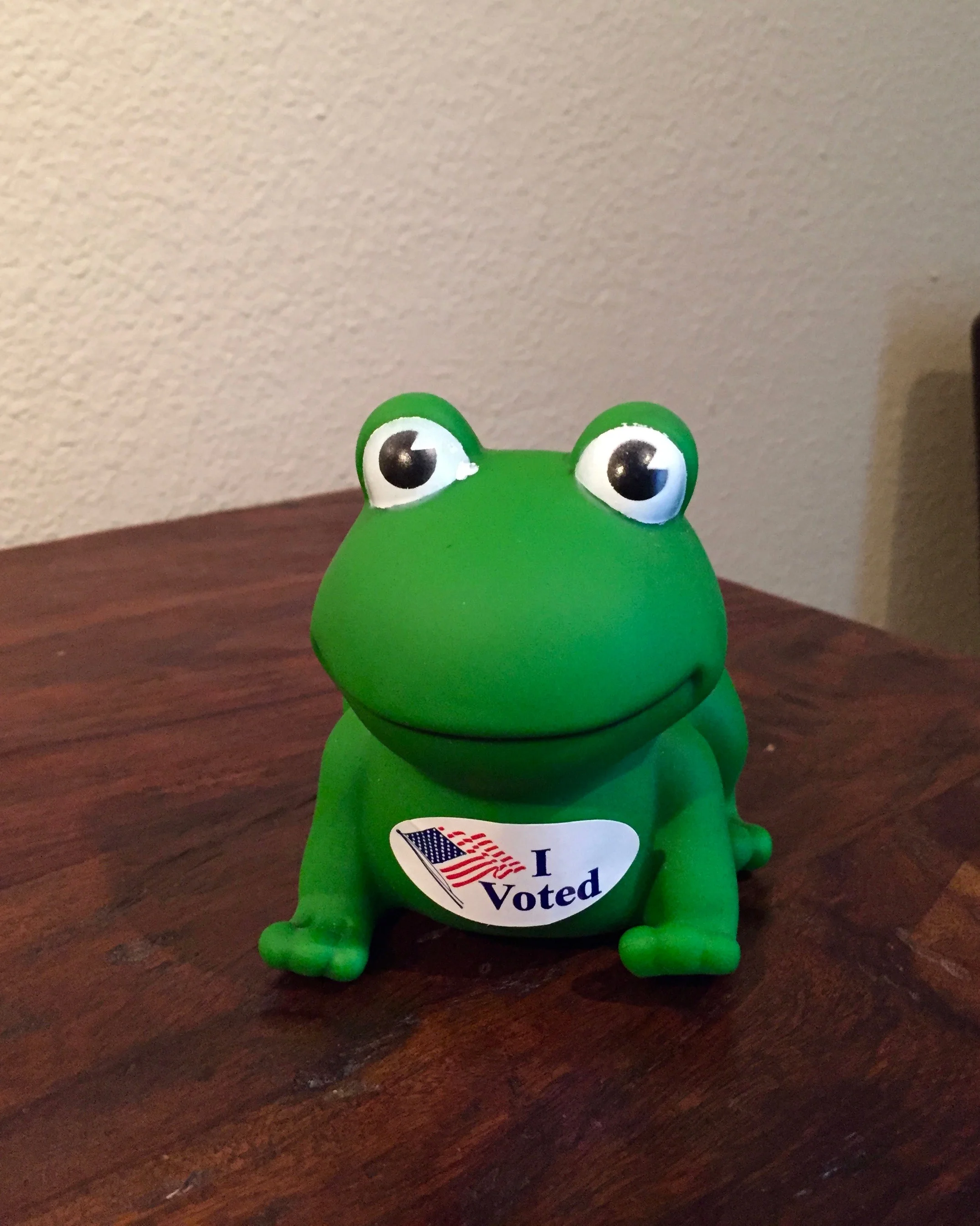 Voter FROG…not Voter Fraud…..JUST VOTE…