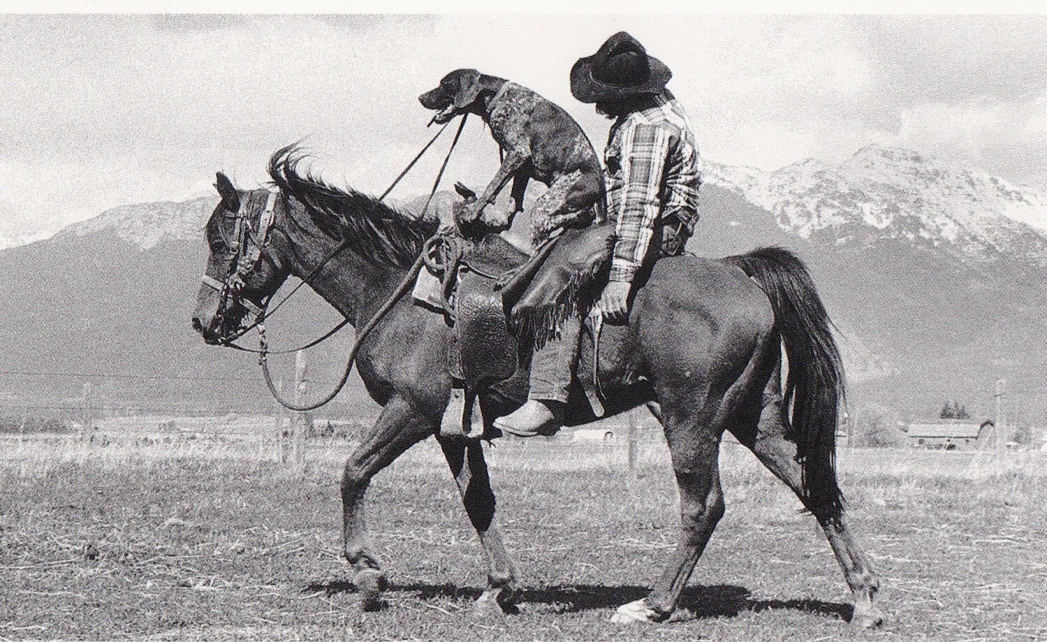Scan-141002-0001.jpg