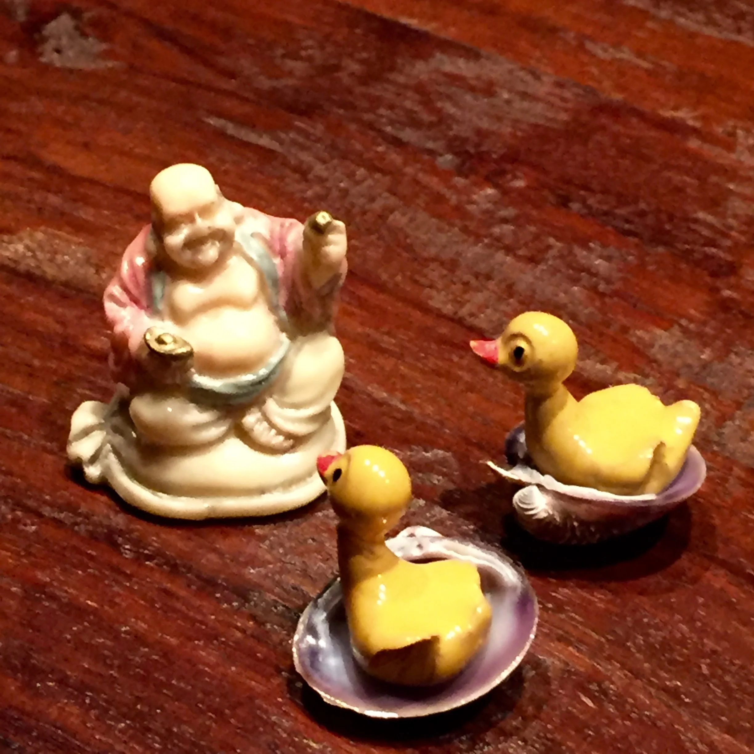 IMG_1965.jpeg