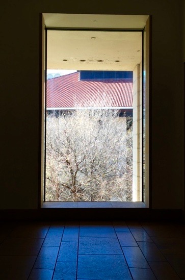 The Other “Art” Outside… Through The Blanton Museum of Art Window…