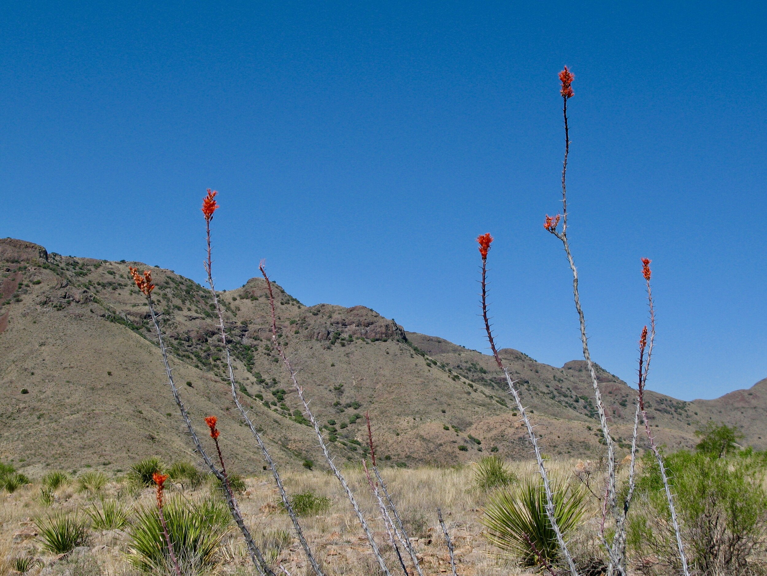 Cibolo Creek Ranch…West Texas