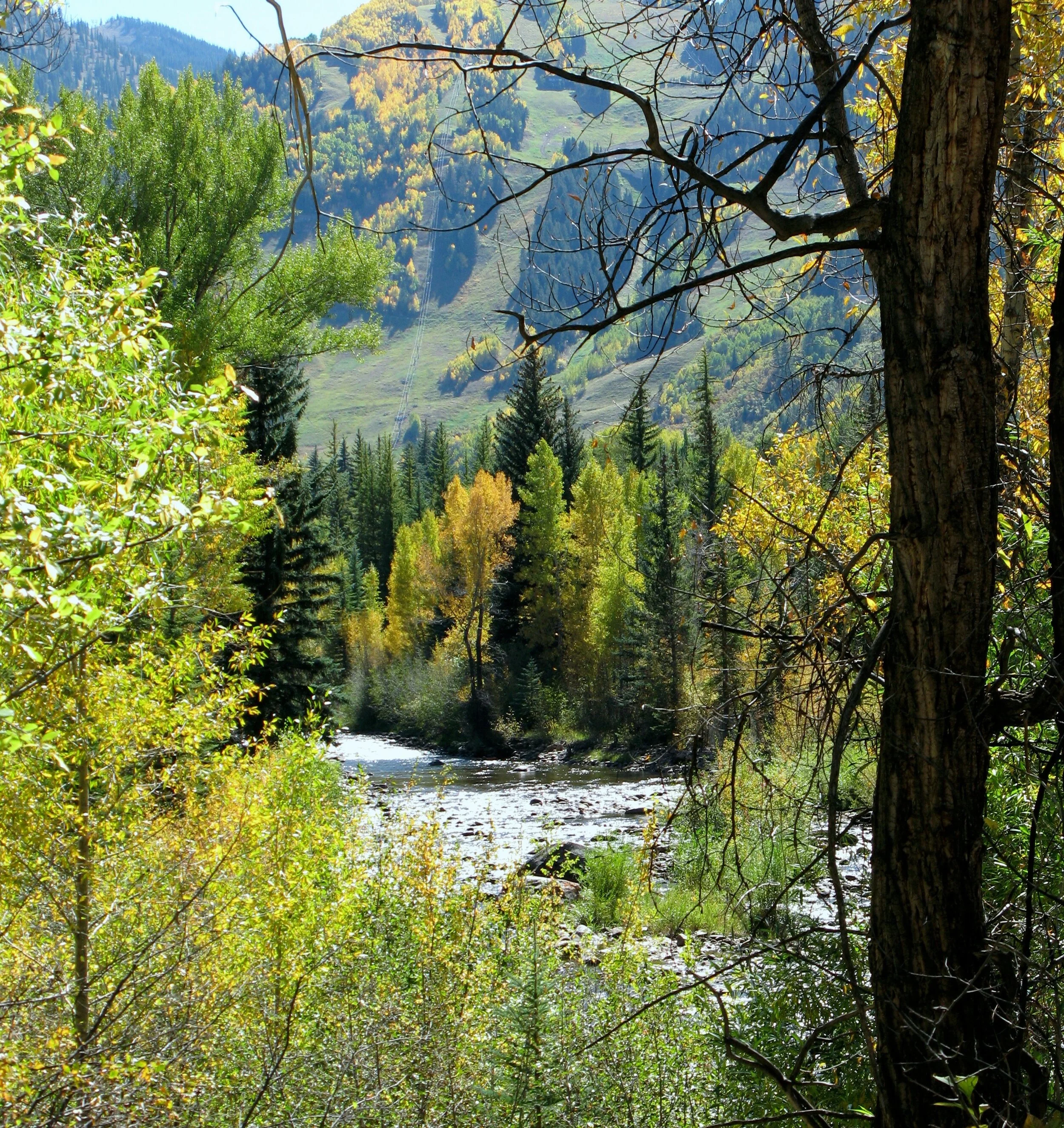 Aspen, Co.