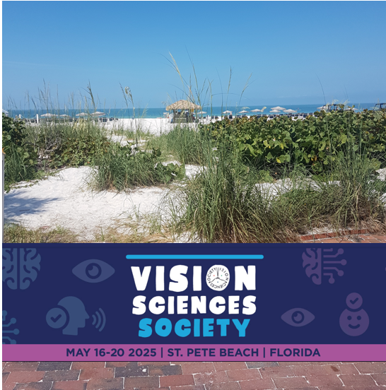 Vision Science Society (VSS)  - St. Pete Beach, USA 2025