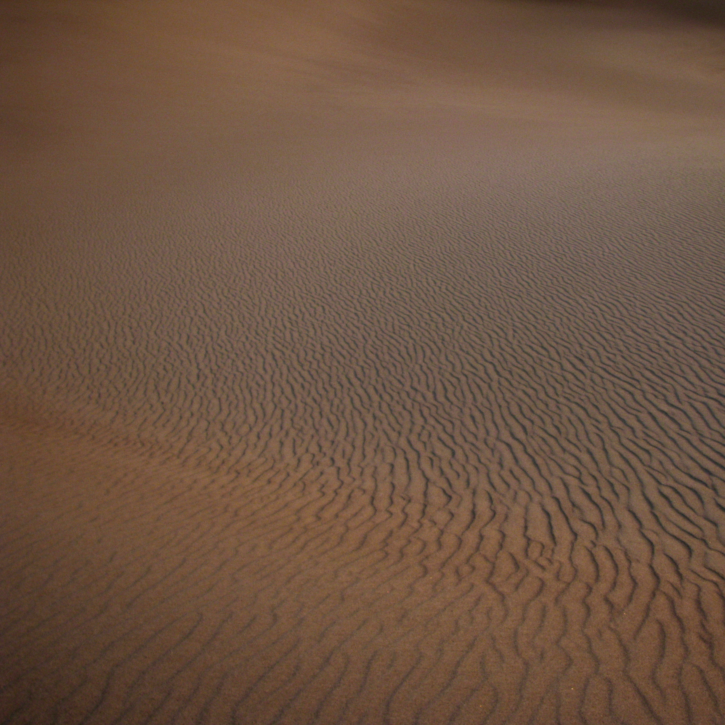 Dune Pink.png
