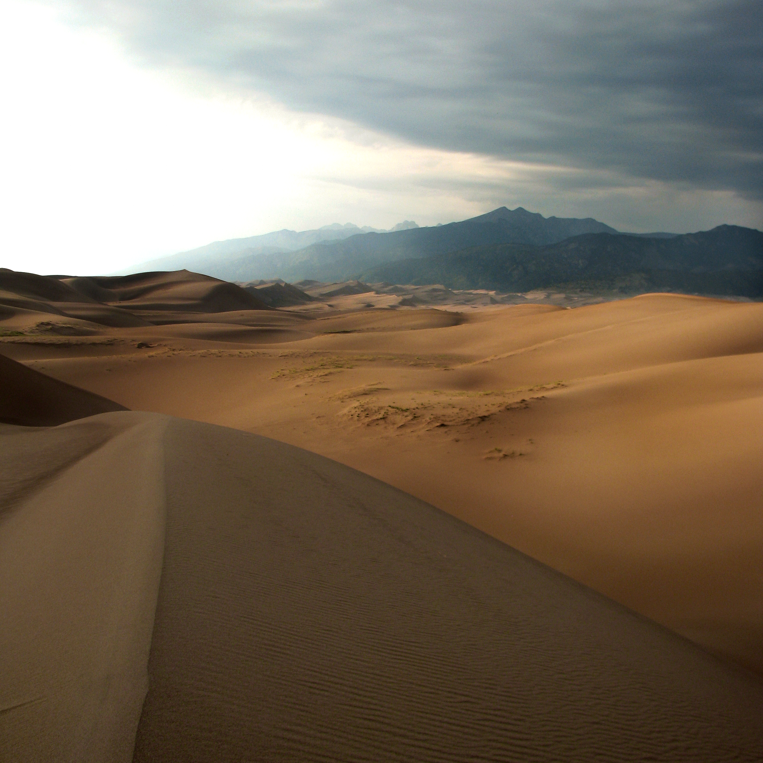 Top of Dune.png