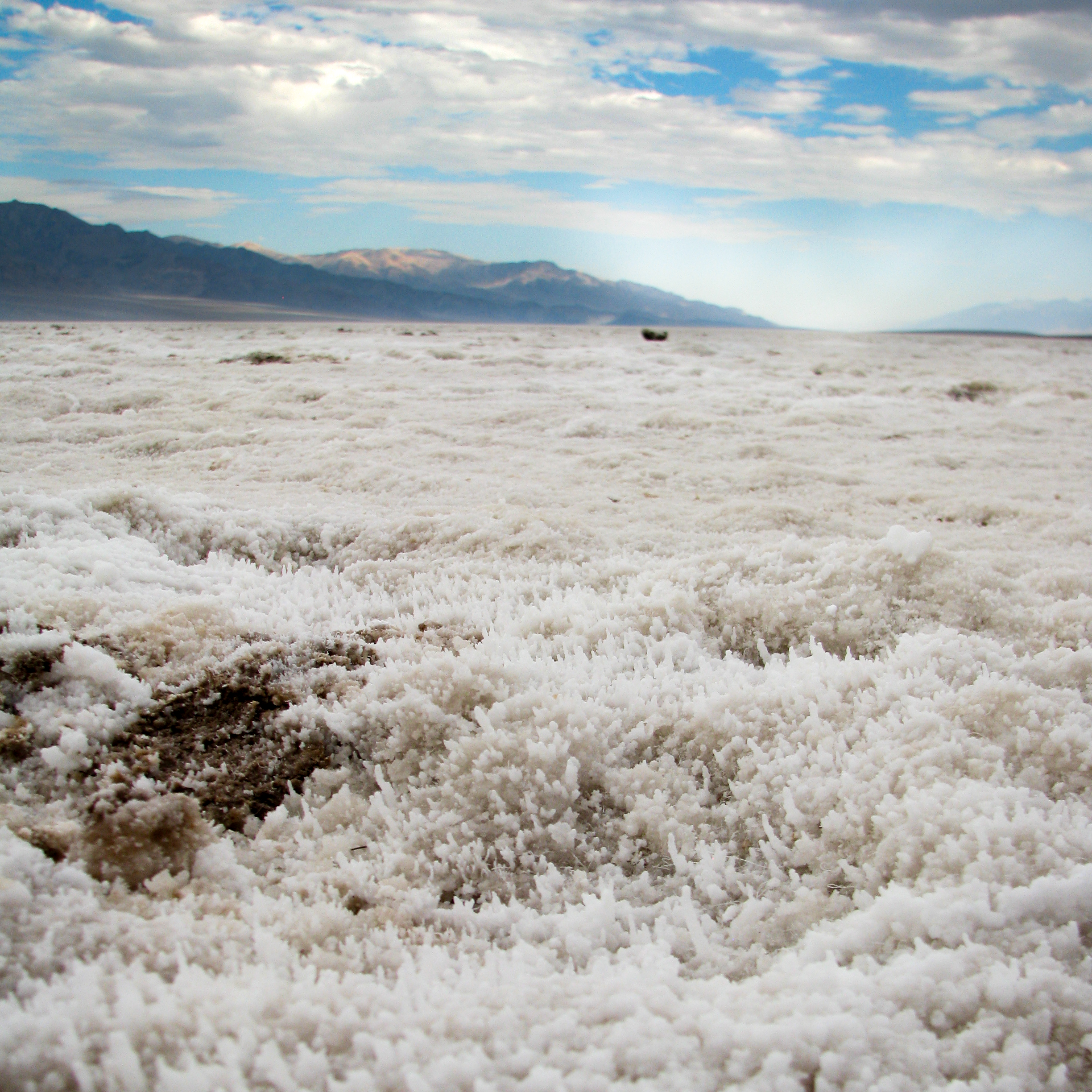 Salt and Sky.png