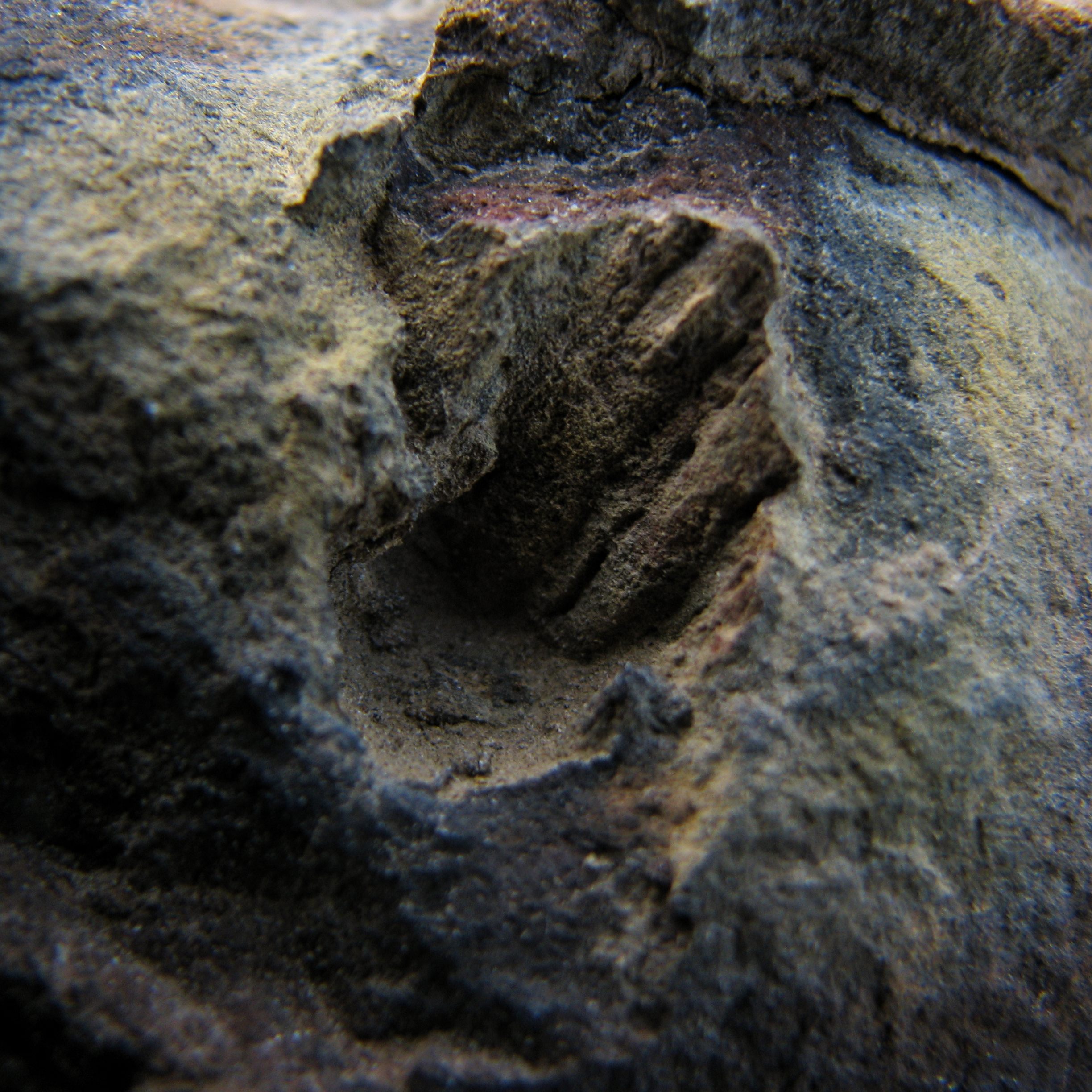 Lone Rock 5.png
