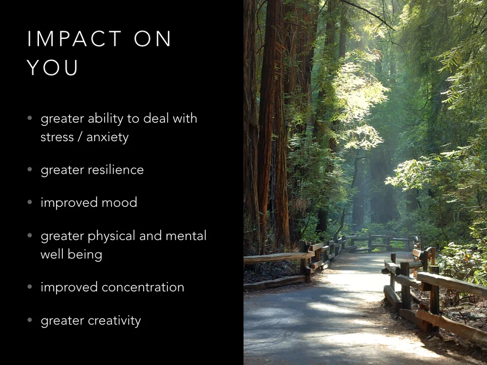 Mindfulness Lecture.041.jpeg