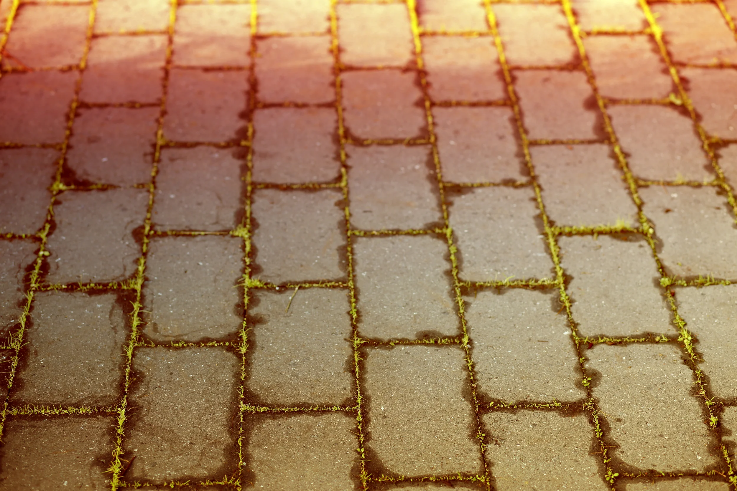 path1.jpg