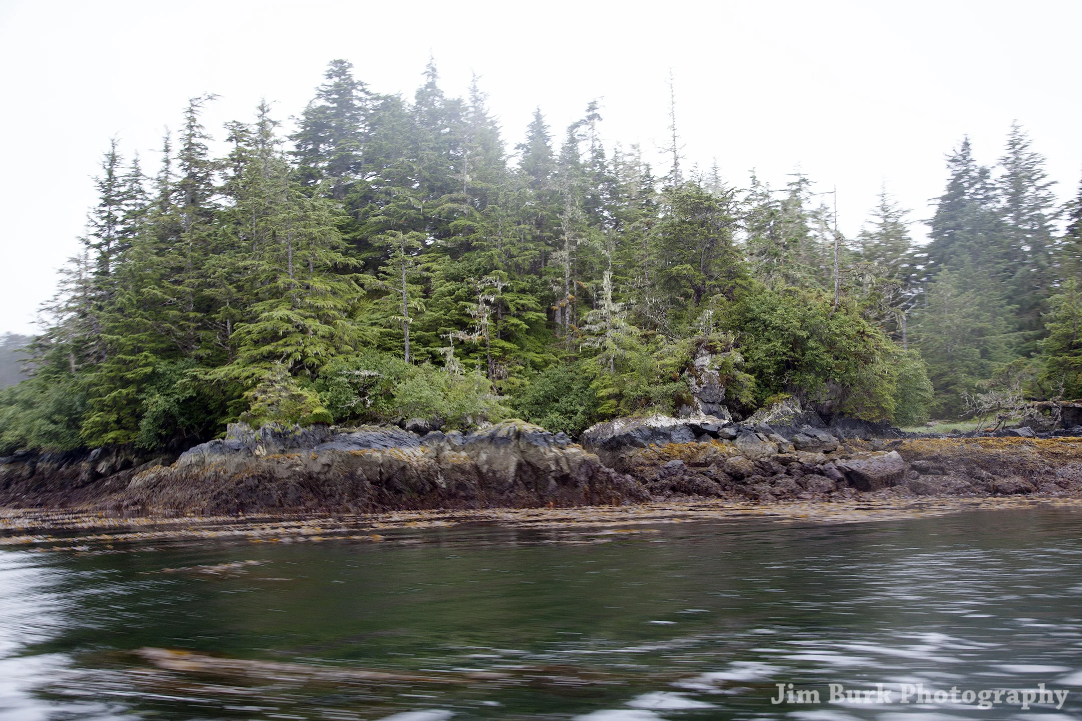 Sitka_12-6_H.jpg