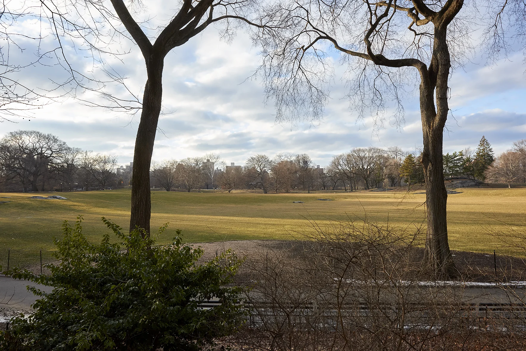 1170_Fifth_6B_389.jpg
