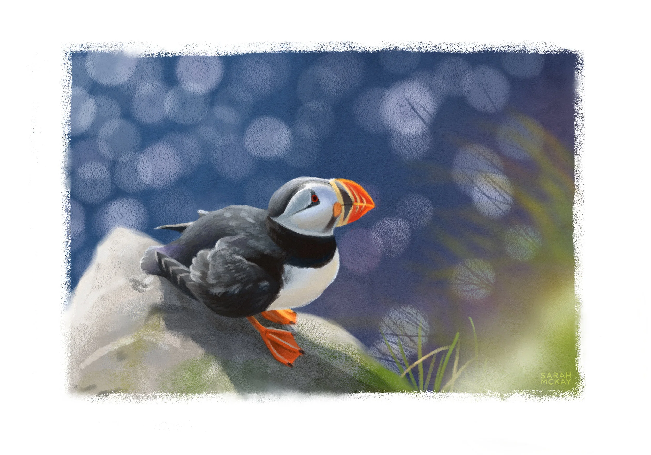 PUFFIN