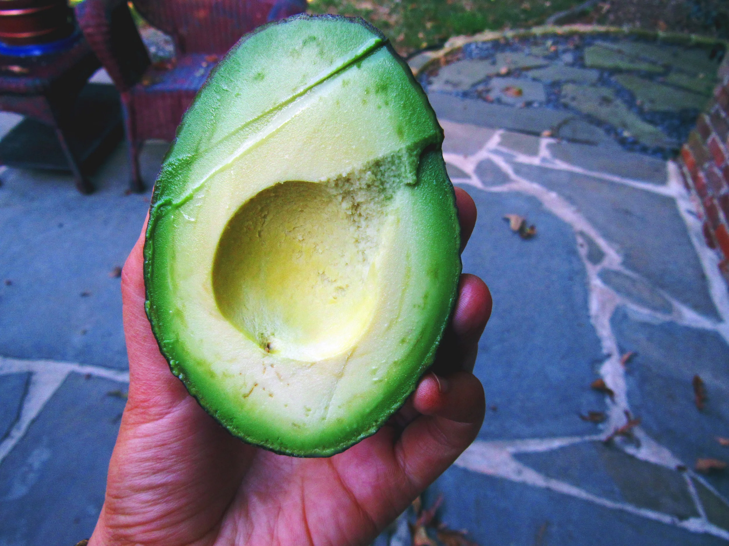 Can we talk about this avocado? Yummm.