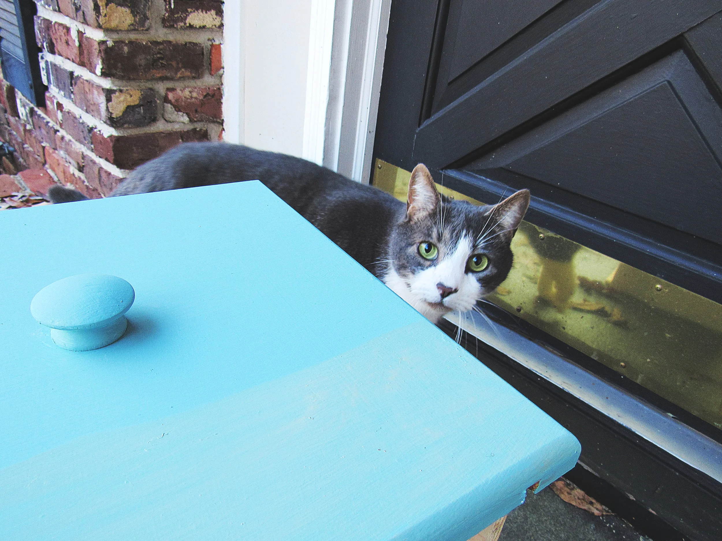 My helper is always lurking around somewhere.