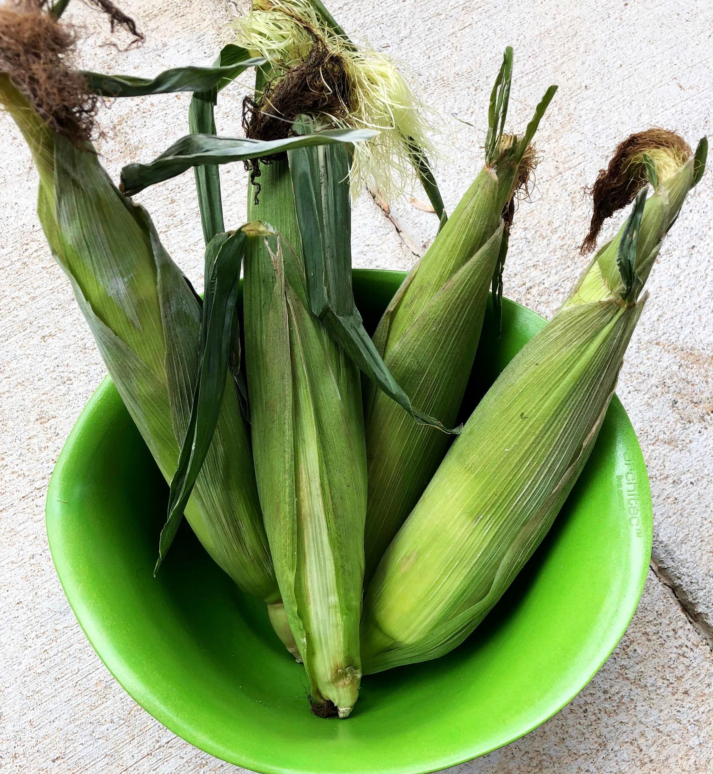 Corn.jpg