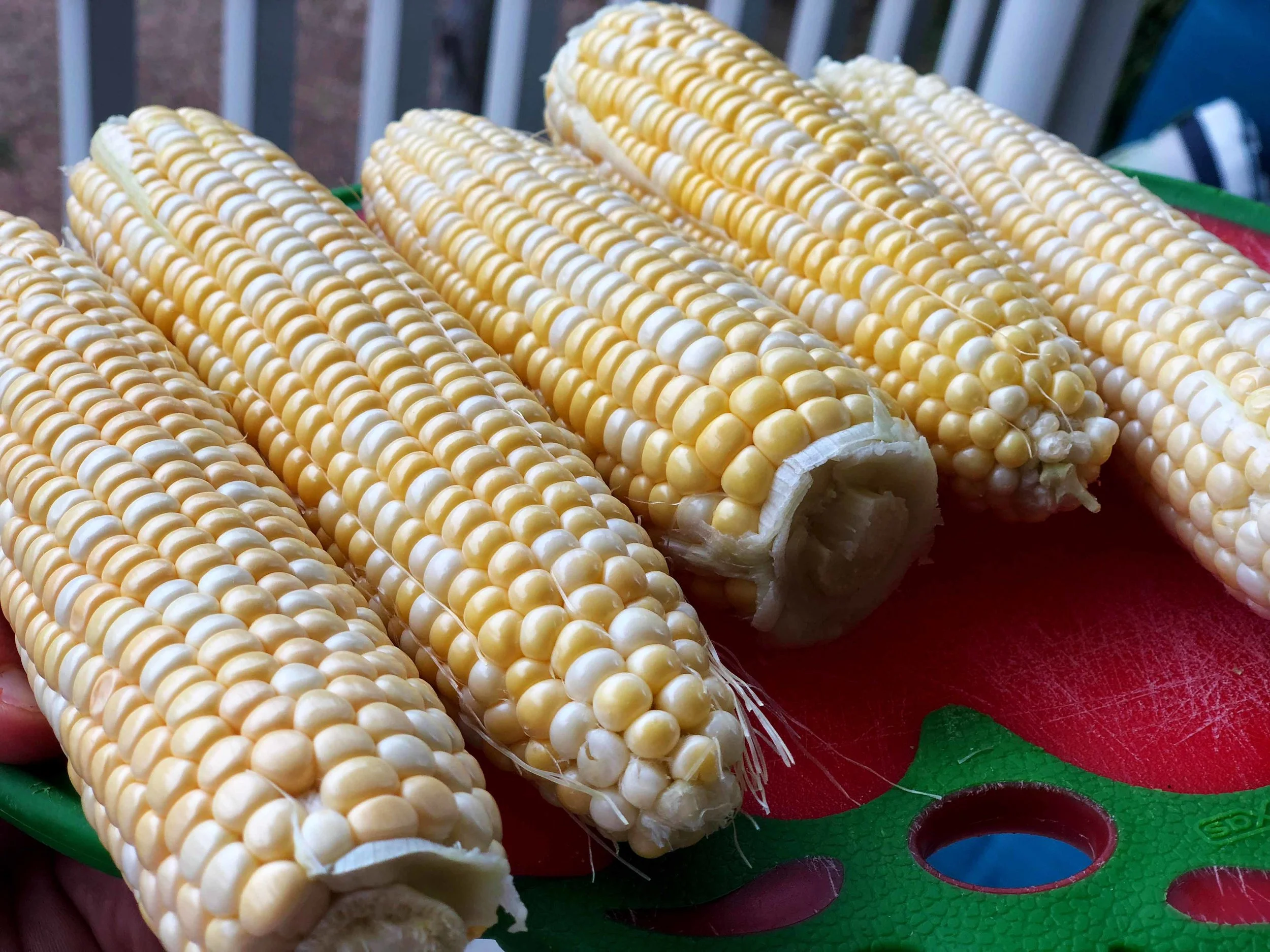 Corn raw.jpg