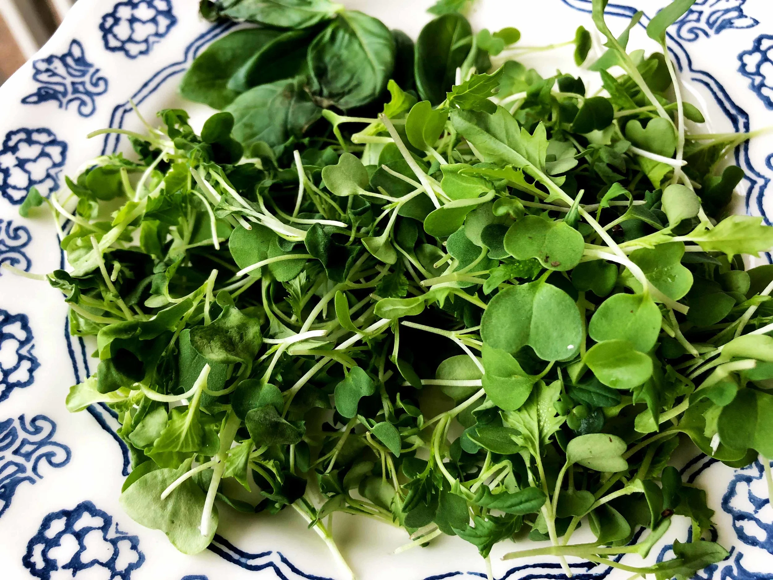 Greens.jpg