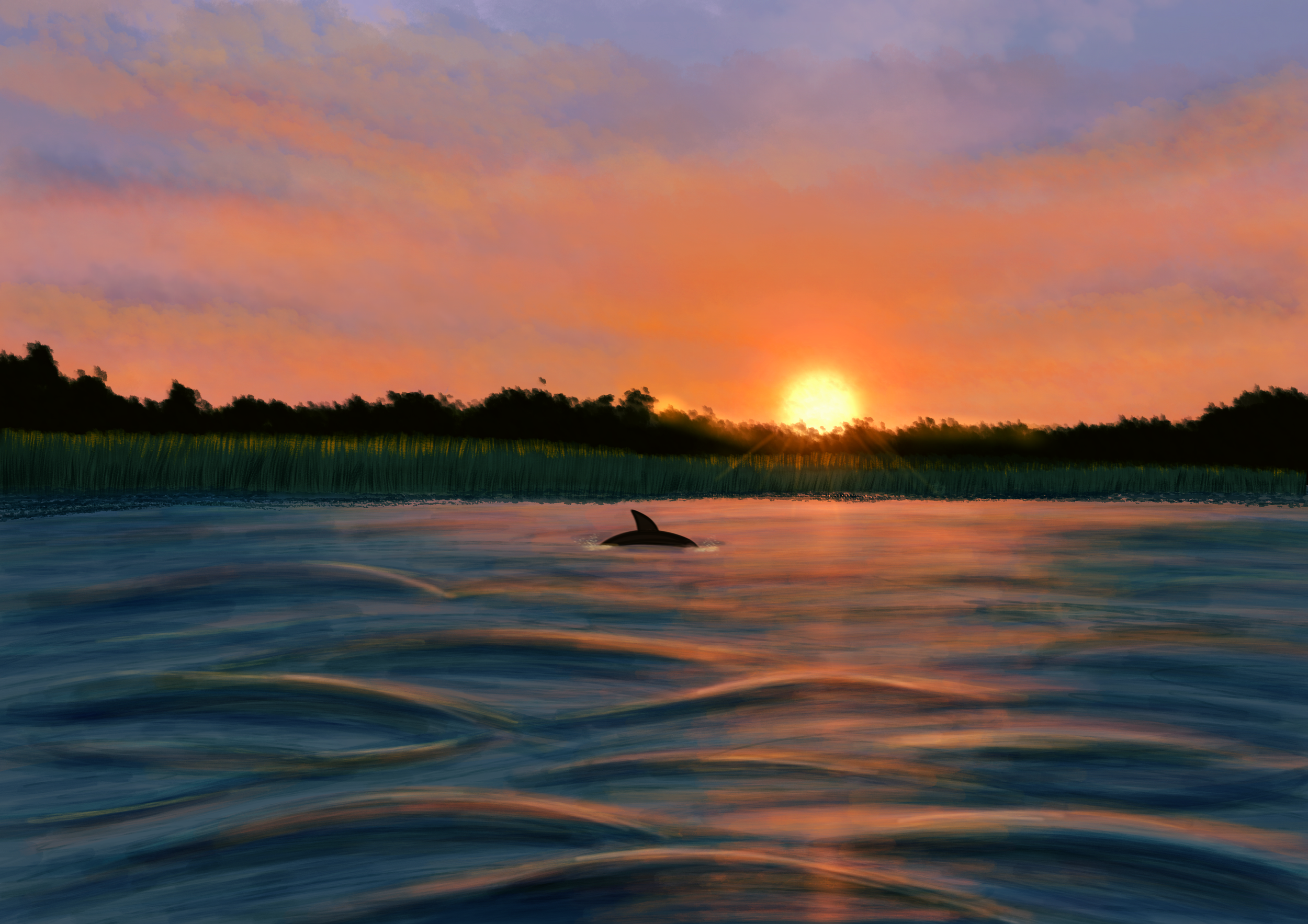 Untitled_Artwork 84.png