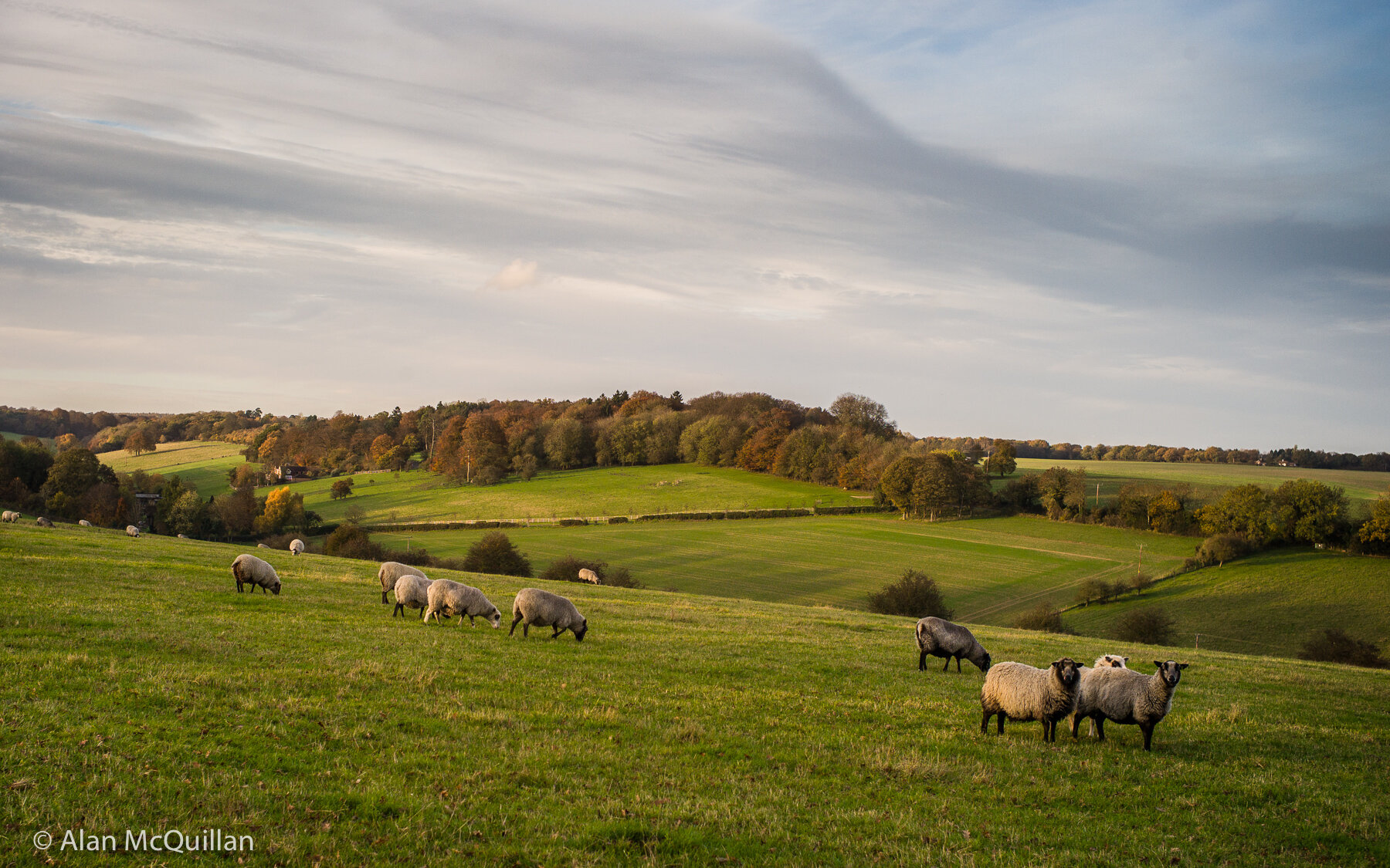 Frithsden, Hertfordshire, England