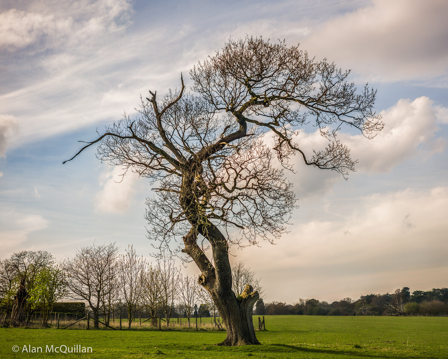 Ashridge Estate, Hertfordshire, England