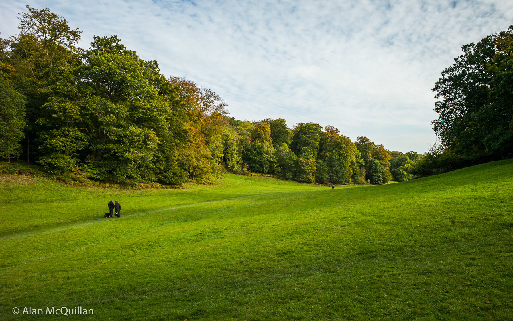 Golden Valley, Ashridge, Hertfordshire, England