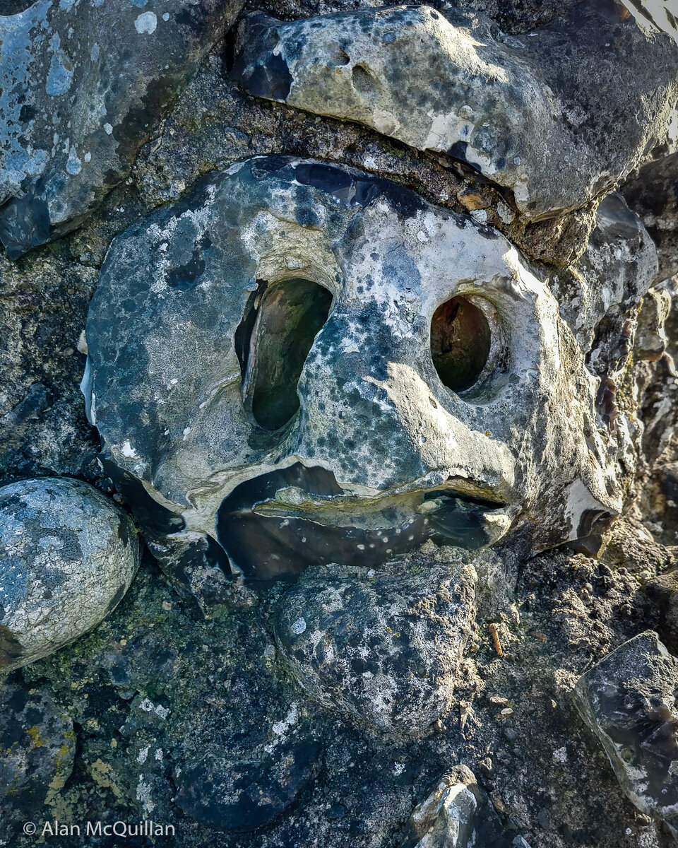 Part of old wall, Berkhamsted Castle, Hertfordshire