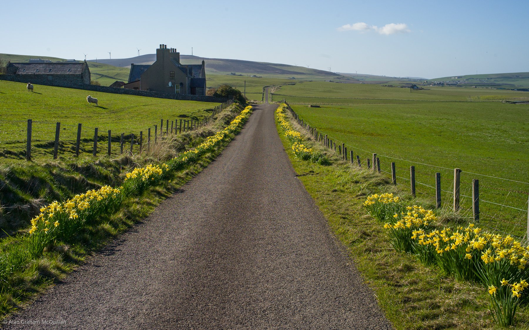 Gorseness Road, Orkney Islands, Scotland, 2014