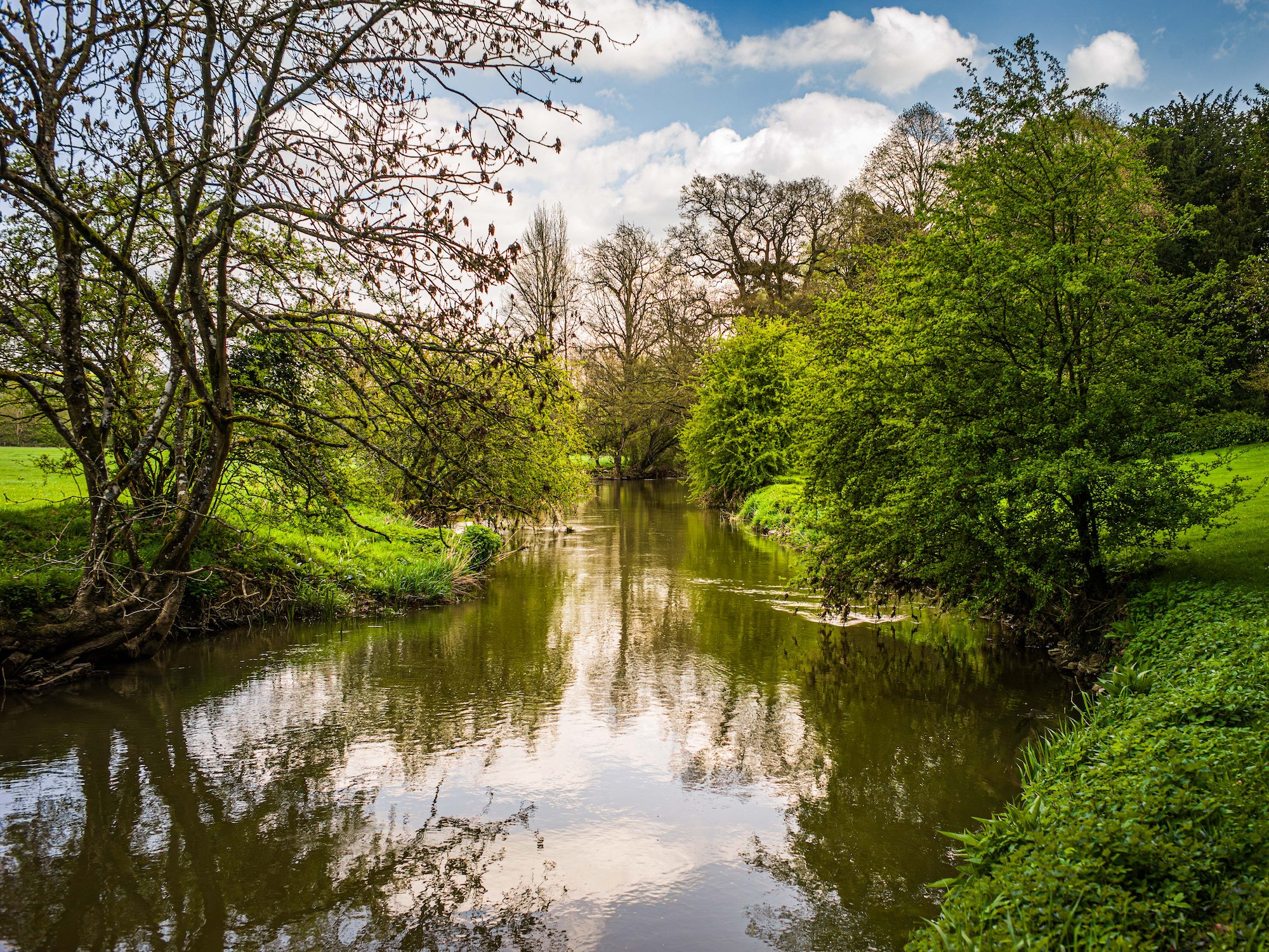 Riiver Cherwell, Rousham, Oxfordshire, England