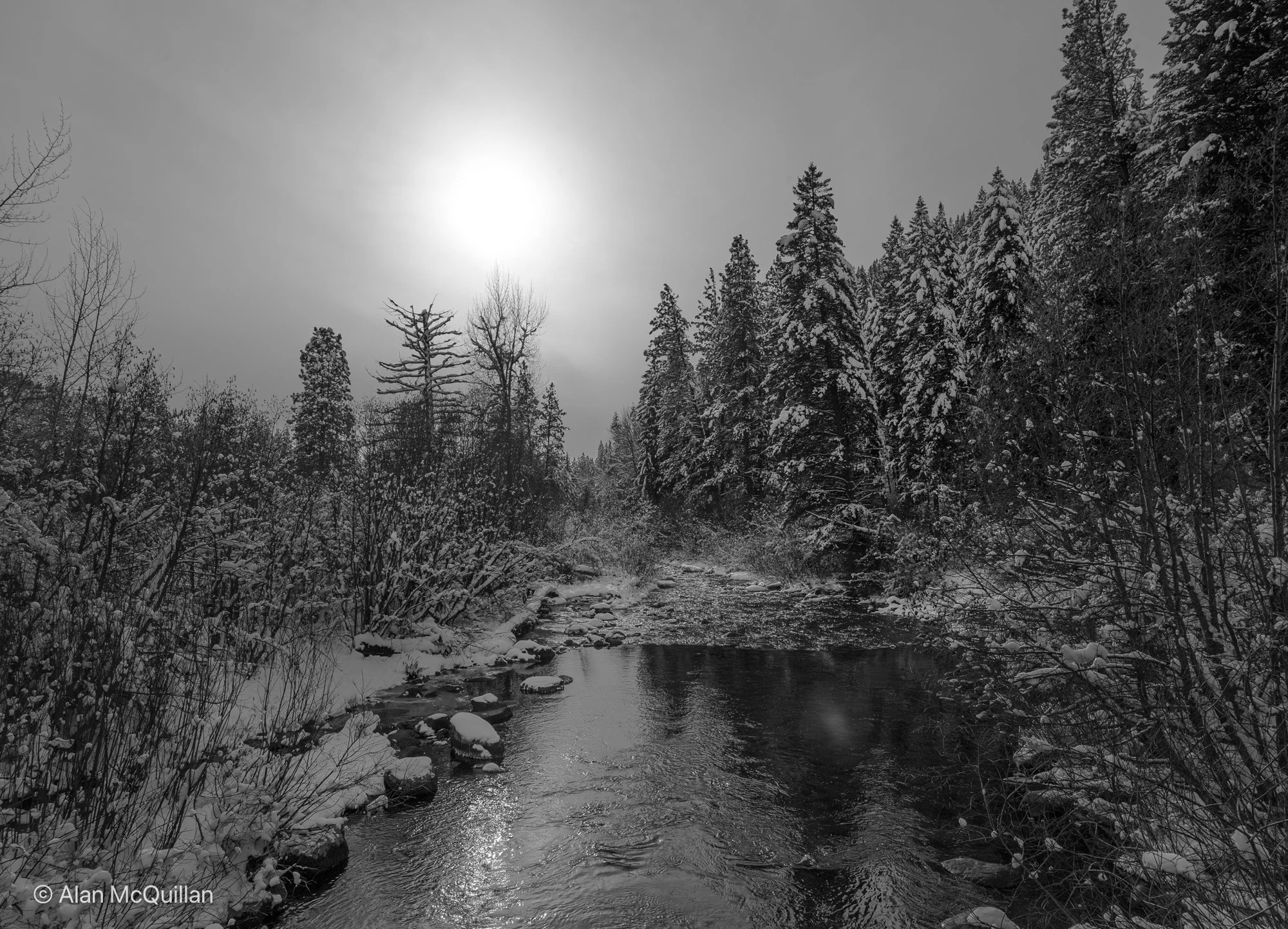 Rattlesnake Creek in winter, Missoula, Montana